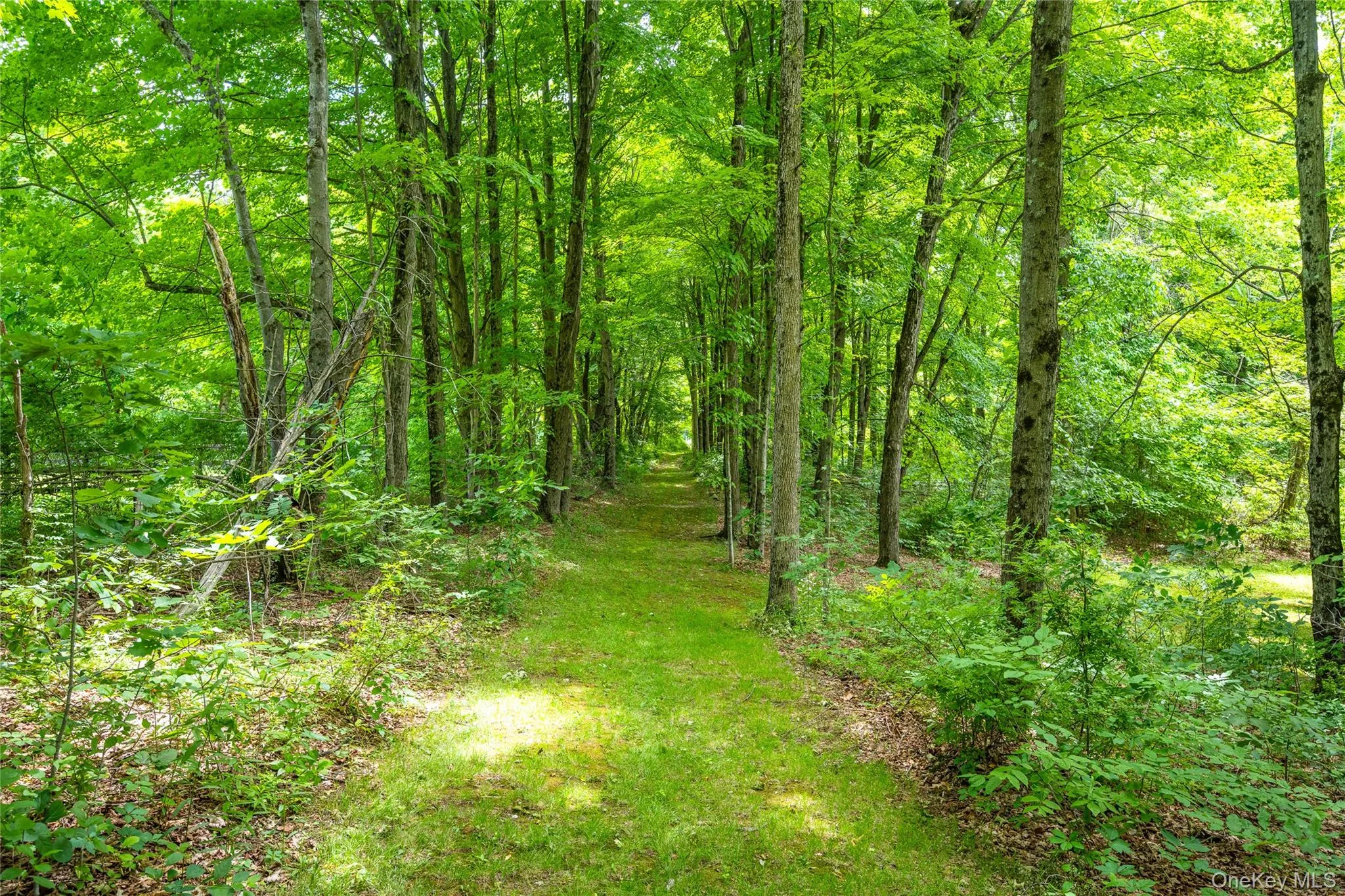 202 Quaker Lane, Hyde Park, NY, 3 Bedrooms Bedrooms, 7 Rooms Rooms,2 BathroomsBathrooms,Residential,For Rent,Quaker,0,1013272 202 Quaker Lane, Hyde Park, NY, 3 Bedrooms Bedrooms, 7 Rooms Rooms,2 BathroomsBathrooms,Residential,For Rent,Quaker,0,1013272