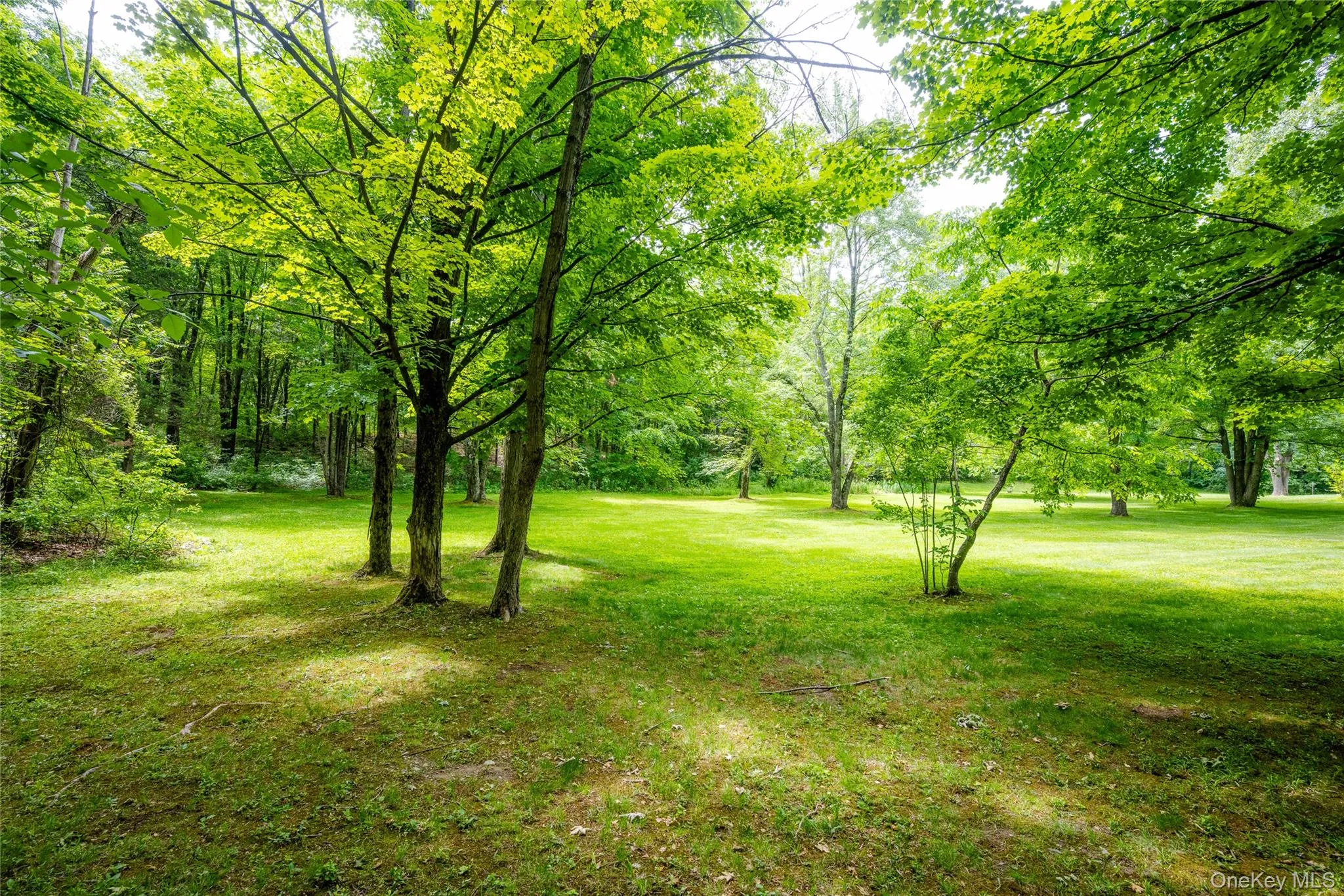 202 Quaker Lane, Hyde Park, NY, 3 Bedrooms Bedrooms, 7 Rooms Rooms,2 BathroomsBathrooms,Residential,For Rent,Quaker,0,1013272 202 Quaker Lane, Hyde Park, NY, 3 Bedrooms Bedrooms, 7 Rooms Rooms,2 BathroomsBathrooms,Residential,For Rent,Quaker,0,1013272
