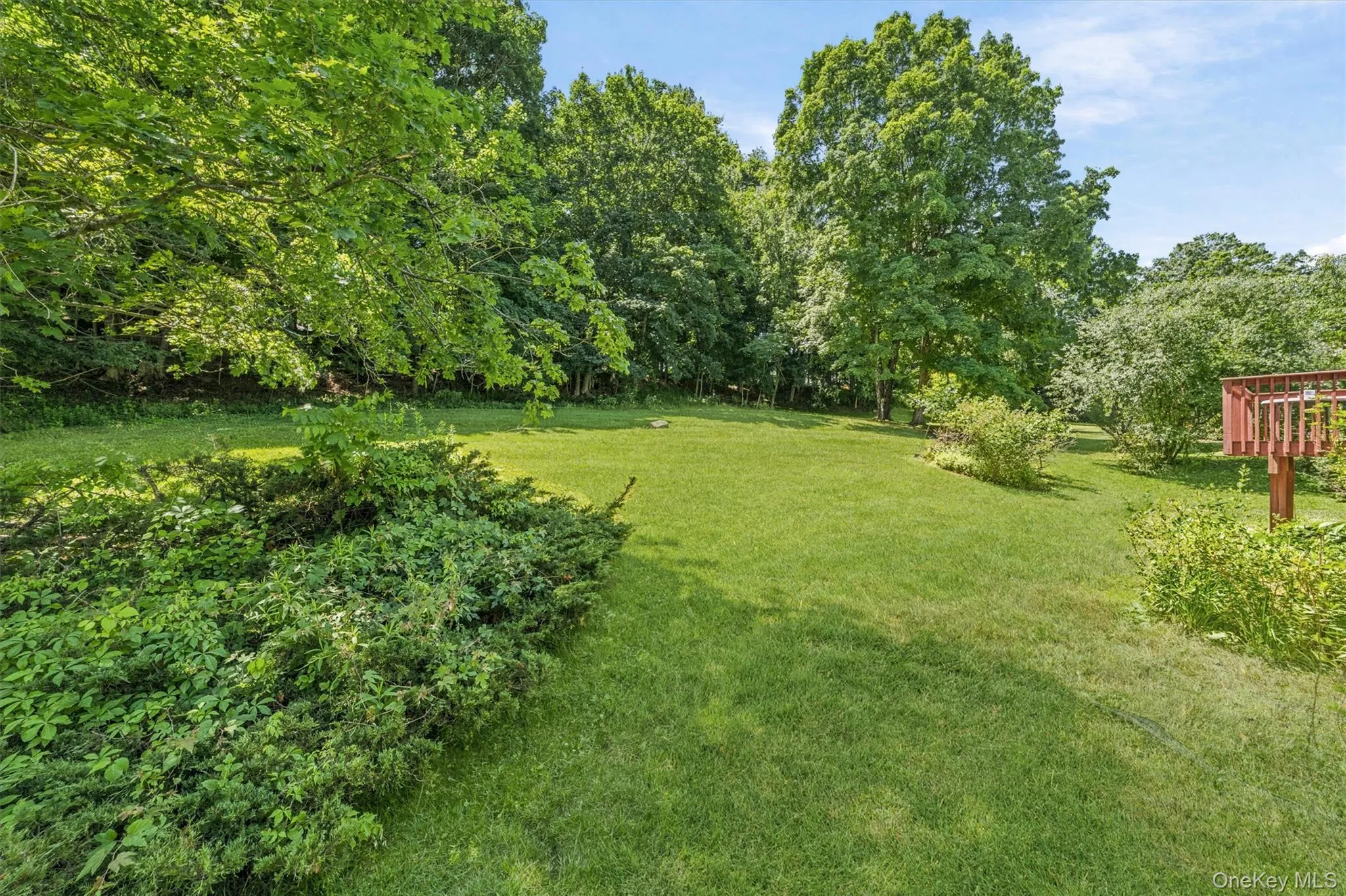 Sprawling yard Sprawling yard