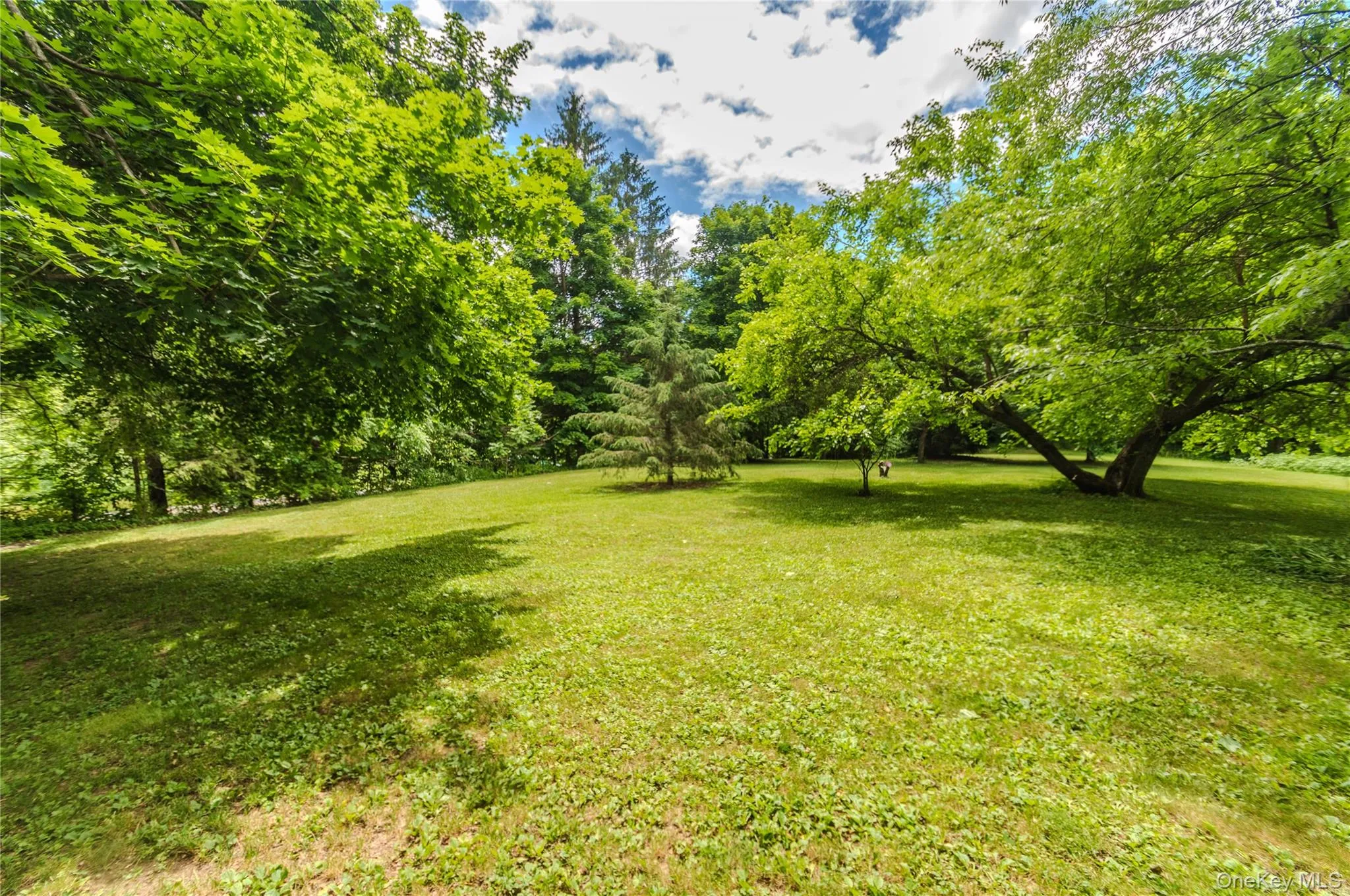 1633 Salt Point Turnpike, Pleasant Valley, NY, 3 Bedrooms Bedrooms, 8 Rooms Rooms,2 BathroomsBathrooms,Residential,For Rent,Salt Point,0,1013288 1633 Salt Point Turnpike, Pleasant Valley, NY, 3 Bedrooms Bedrooms, 8 Rooms Rooms,2 BathroomsBathrooms,Residential,For Rent,Salt Point,0,1013288