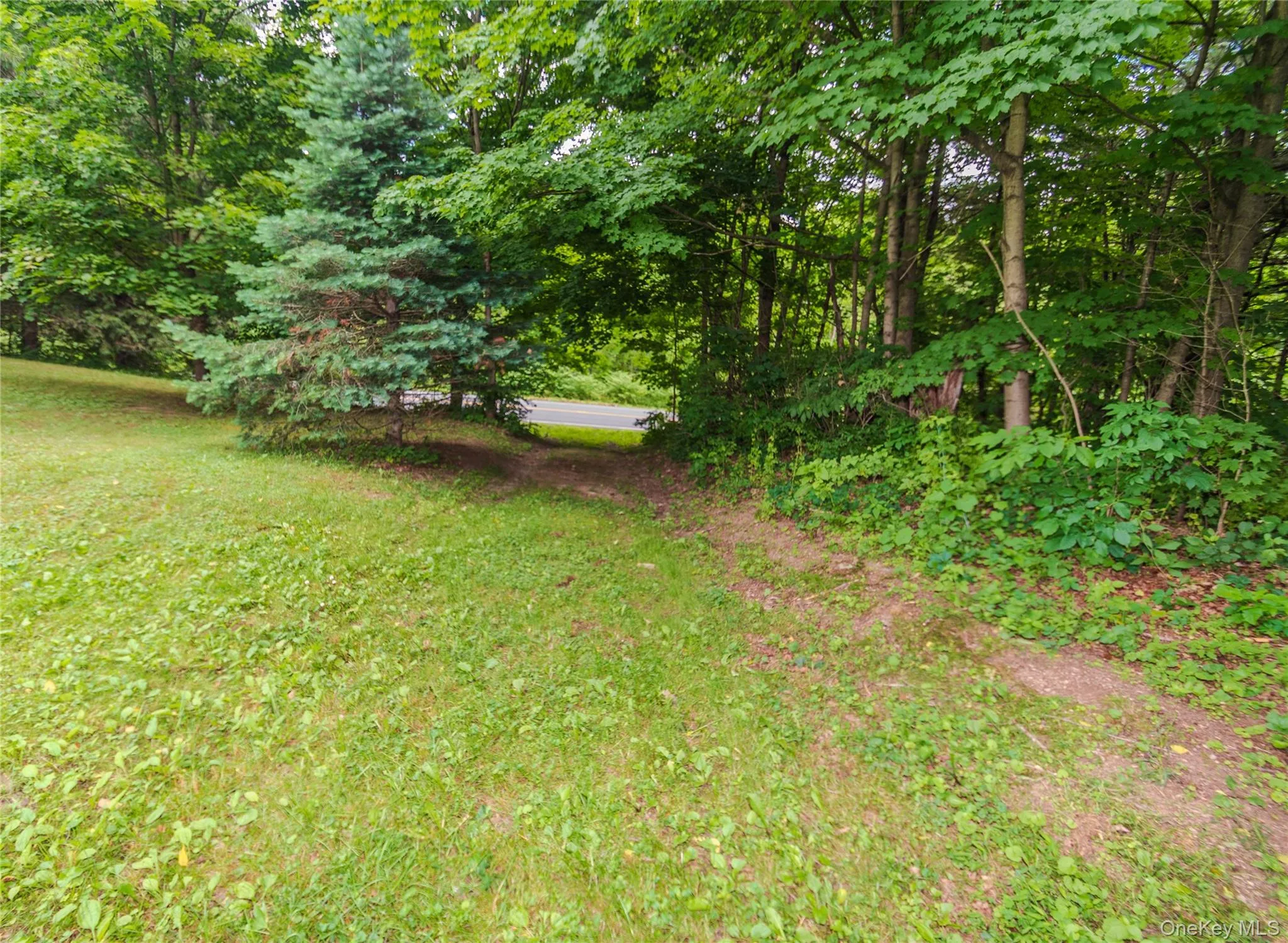 1633 Salt Point Turnpike, Pleasant Valley, NY, 3 Bedrooms Bedrooms, 8 Rooms Rooms,2 BathroomsBathrooms,Residential,For Rent,Salt Point,0,1013288 1633 Salt Point Turnpike, Pleasant Valley, NY, 3 Bedrooms Bedrooms, 8 Rooms Rooms,2 BathroomsBathrooms,Residential,For Rent,Salt Point,0,1013288