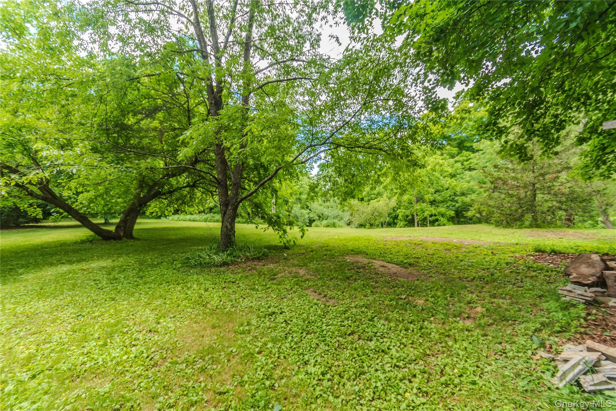 1633 Salt Point Turnpike, Pleasant Valley, NY, 3 Bedrooms Bedrooms, 8 Rooms Rooms,2 BathroomsBathrooms,Residential,For Rent,Salt Point,0,1013288 1633 Salt Point Turnpike, Pleasant Valley, NY, 3 Bedrooms Bedrooms, 8 Rooms Rooms,2 BathroomsBathrooms,Residential,For Rent,Salt Point,0,1013288