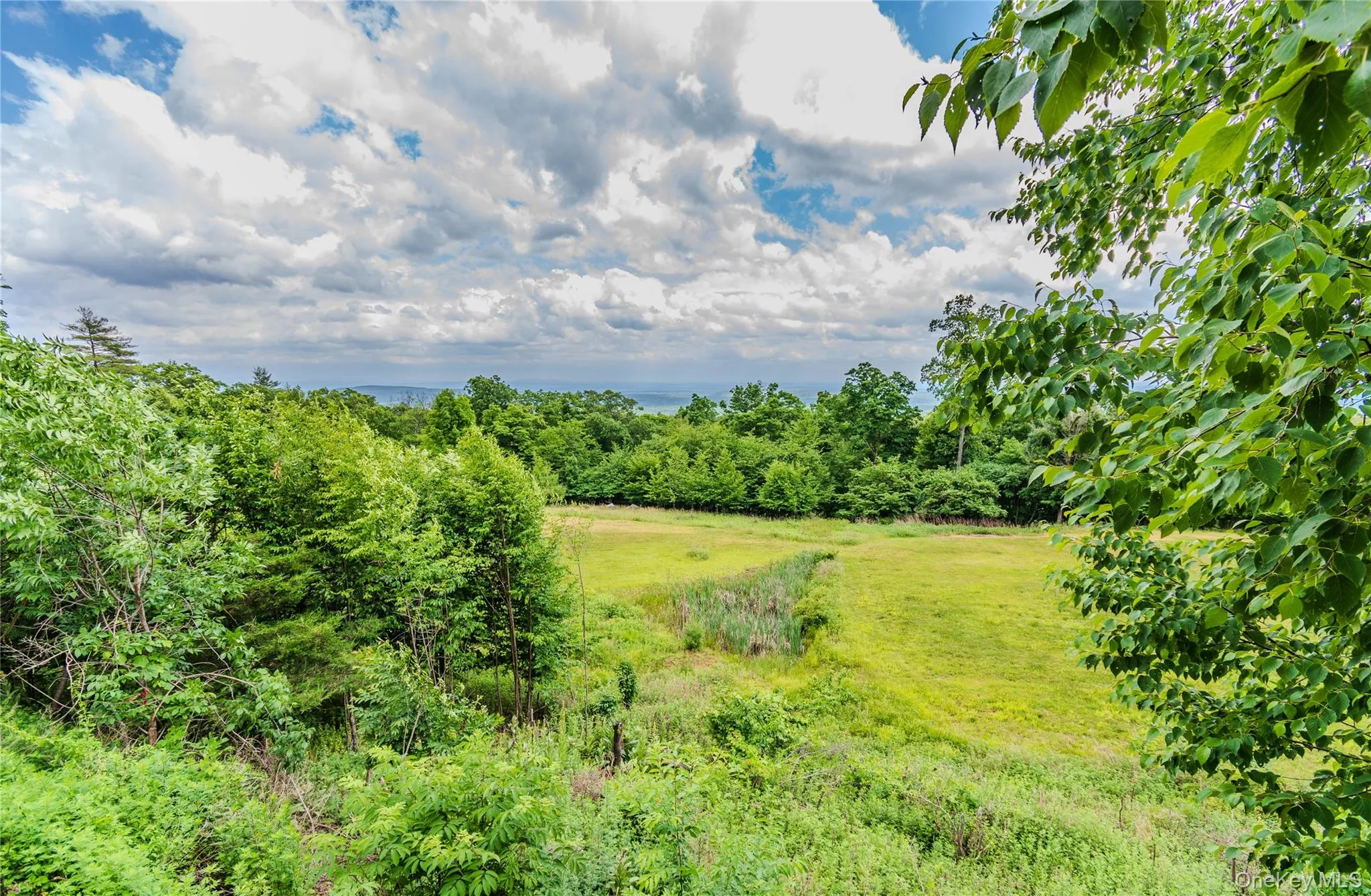24 Tanis Hollow Road, Woodstock, NY, 3 Bedrooms Bedrooms, 7 Rooms Rooms,2 BathroomsBathrooms,Residential,For Rent,Tanis Hollow,0,1013293 24 Tanis Hollow Road, Woodstock, NY, 3 Bedrooms Bedrooms, 7 Rooms Rooms,2 BathroomsBathrooms,Residential,For Rent,Tanis Hollow,0,1013293