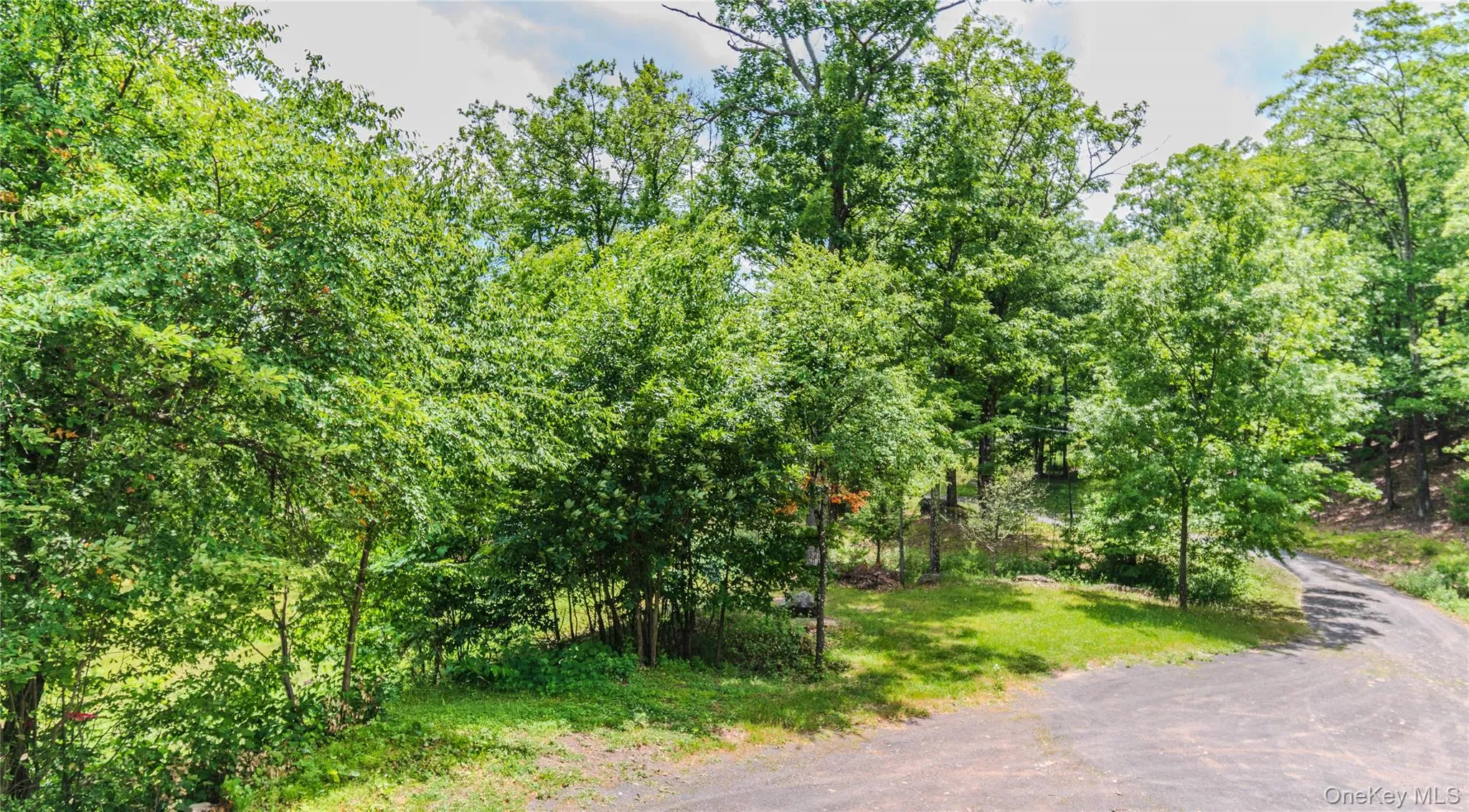 24 Tanis Hollow Road, Woodstock, NY, 3 Bedrooms Bedrooms, 7 Rooms Rooms,2 BathroomsBathrooms,Residential,For Rent,Tanis Hollow,0,1013293 24 Tanis Hollow Road, Woodstock, NY, 3 Bedrooms Bedrooms, 7 Rooms Rooms,2 BathroomsBathrooms,Residential,For Rent,Tanis Hollow,0,1013293