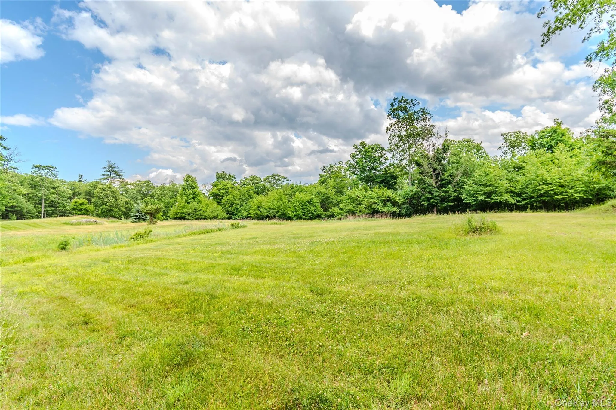 24 Tanis Hollow Road, Woodstock, NY, 3 Bedrooms Bedrooms, 7 Rooms Rooms,2 BathroomsBathrooms,Residential,For Rent,Tanis Hollow,0,1013293 24 Tanis Hollow Road, Woodstock, NY, 3 Bedrooms Bedrooms, 7 Rooms Rooms,2 BathroomsBathrooms,Residential,For Rent,Tanis Hollow,0,1013293