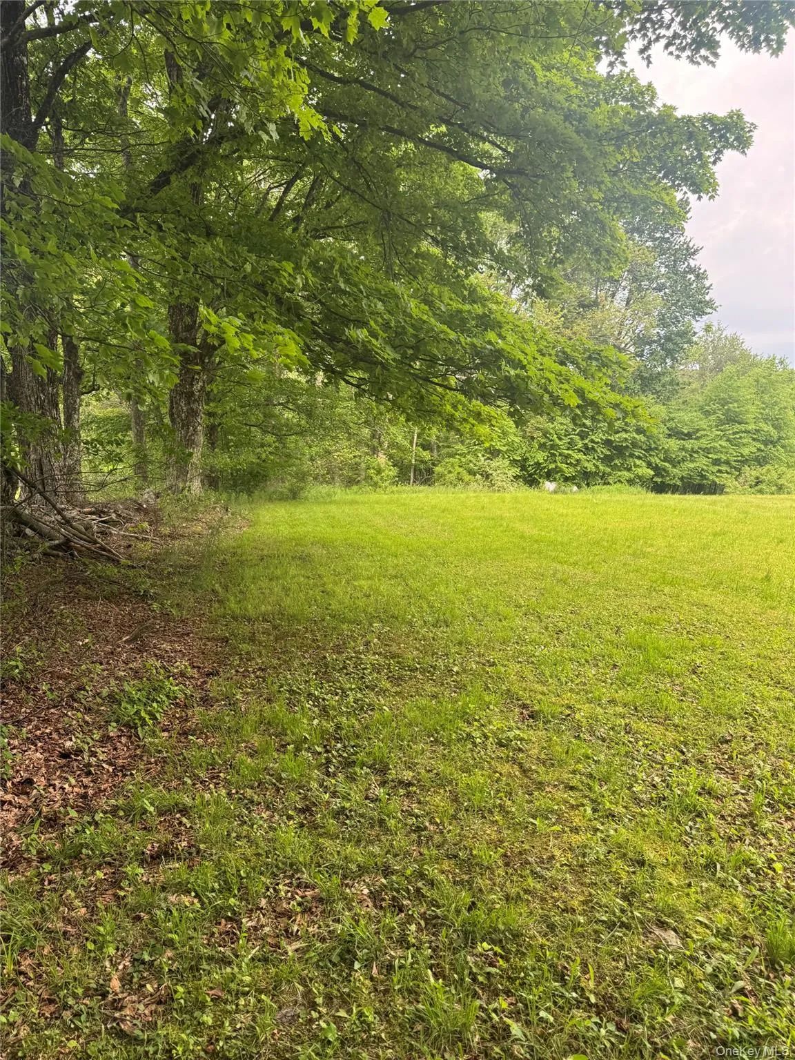 742 Lenape Lake Road, Liberty, NY, 3 Bedrooms Bedrooms, 8 Rooms Rooms,2 BathroomsBathrooms,Residential,For Rent,Lenape Lake,0,1013294 742 Lenape Lake Road, Liberty, NY, 3 Bedrooms Bedrooms, 8 Rooms Rooms,2 BathroomsBathrooms,Residential,For Rent,Lenape Lake,0,1013294
