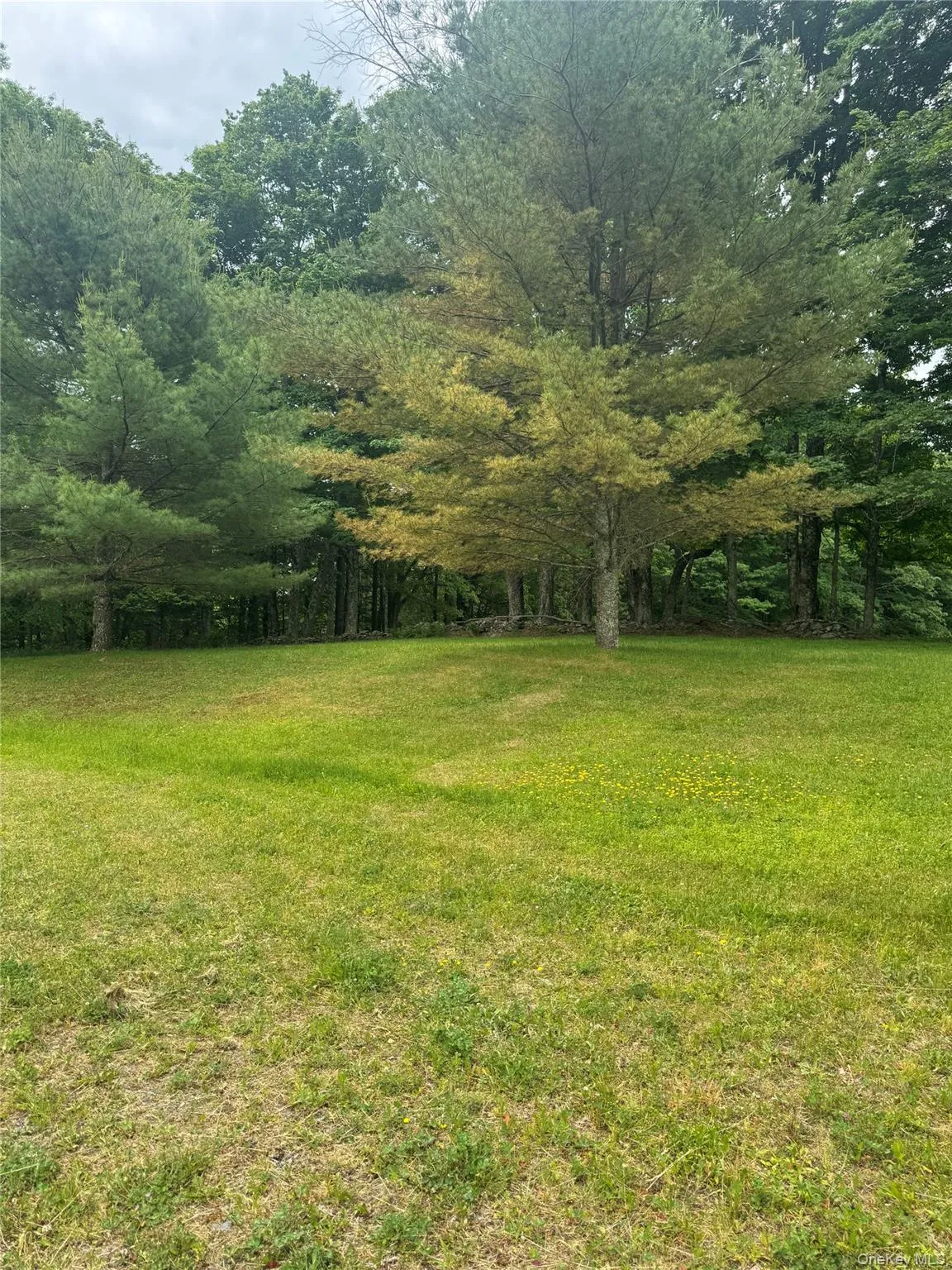 742 Lenape Lake Road, Liberty, NY, 3 Bedrooms Bedrooms, 8 Rooms Rooms,2 BathroomsBathrooms,Residential,For Rent,Lenape Lake,0,1013294 742 Lenape Lake Road, Liberty, NY, 3 Bedrooms Bedrooms, 8 Rooms Rooms,2 BathroomsBathrooms,Residential,For Rent,Lenape Lake,0,1013294