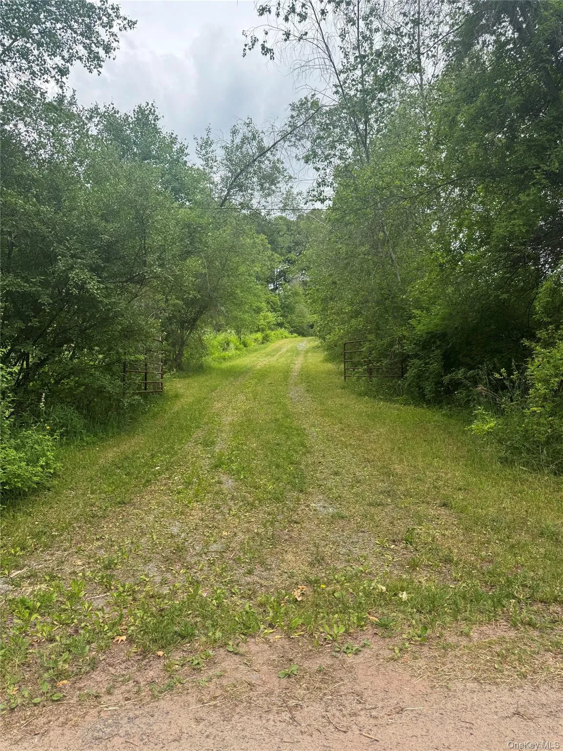 742 Lenape Lake Road, Liberty, NY, 3 Bedrooms Bedrooms, 8 Rooms Rooms,2 BathroomsBathrooms,Residential,For Rent,Lenape Lake,0,1013294 742 Lenape Lake Road, Liberty, NY, 3 Bedrooms Bedrooms, 8 Rooms Rooms,2 BathroomsBathrooms,Residential,For Rent,Lenape Lake,0,1013294