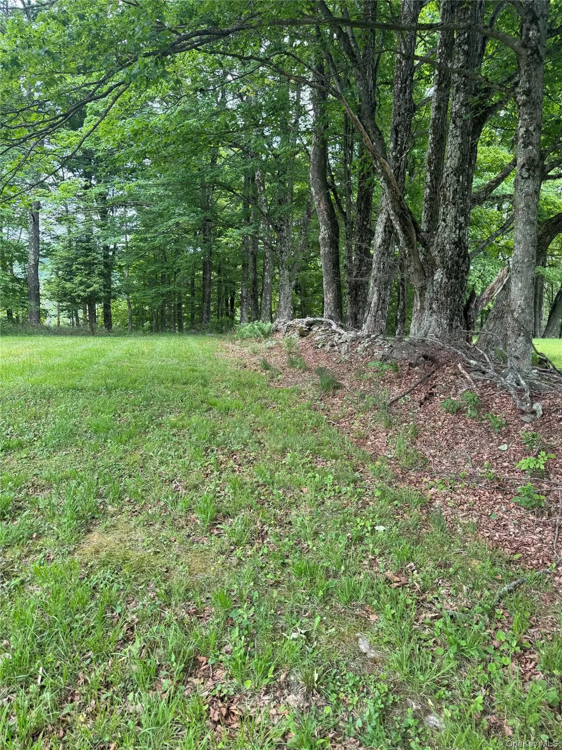 742 Lenape Lake Road, Liberty, NY, 3 Bedrooms Bedrooms, 8 Rooms Rooms,2 BathroomsBathrooms,Residential,For Rent,Lenape Lake,0,1013294 742 Lenape Lake Road, Liberty, NY, 3 Bedrooms Bedrooms, 8 Rooms Rooms,2 BathroomsBathrooms,Residential,For Rent,Lenape Lake,0,1013294
