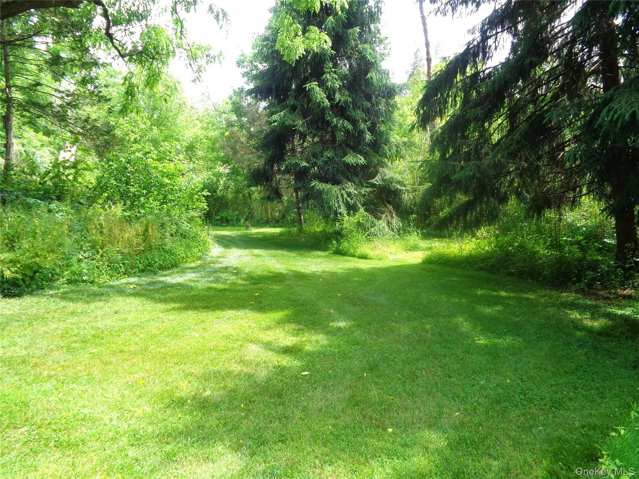 7 Holm Run, Pawling, NY, 3 Bedrooms Bedrooms, 7 Rooms Rooms,2 BathroomsBathrooms,Residential,For Rent,Holm,0,1013297 7 Holm Run, Pawling, NY, 3 Bedrooms Bedrooms, 7 Rooms Rooms,2 BathroomsBathrooms,Residential,For Rent,Holm,0,1013297