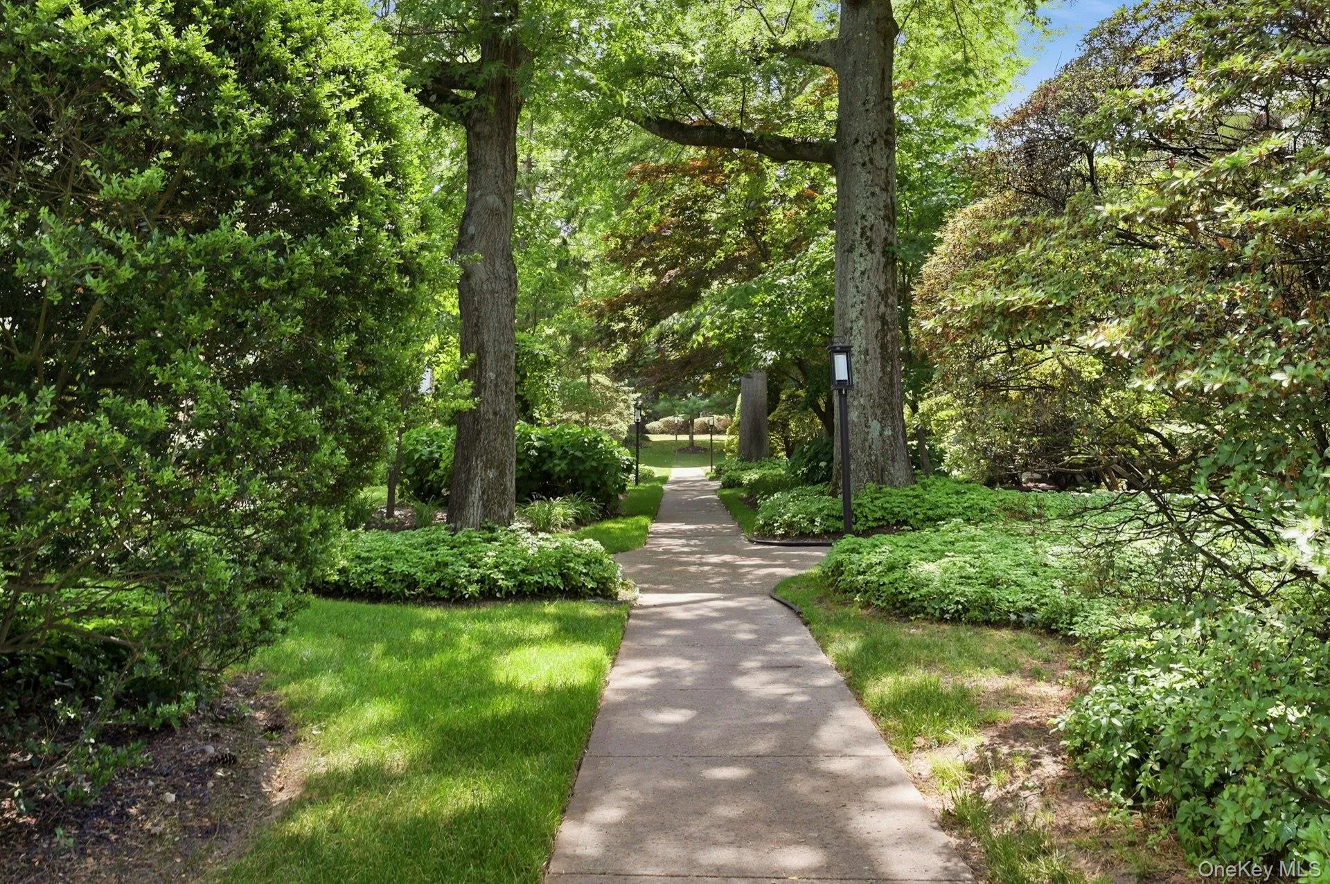 200 Lexington Avenue, Oyster Bay, NY, 1 Bedroom Bedrooms, 4 Rooms Rooms,1 BathroomBathrooms,Residential,For Rent,Lexington,0,1013323 200 Lexington Avenue, Oyster Bay, NY, 1 Bedroom Bedrooms, 4 Rooms Rooms,1 BathroomBathrooms,Residential,For Rent,Lexington,0,1013323