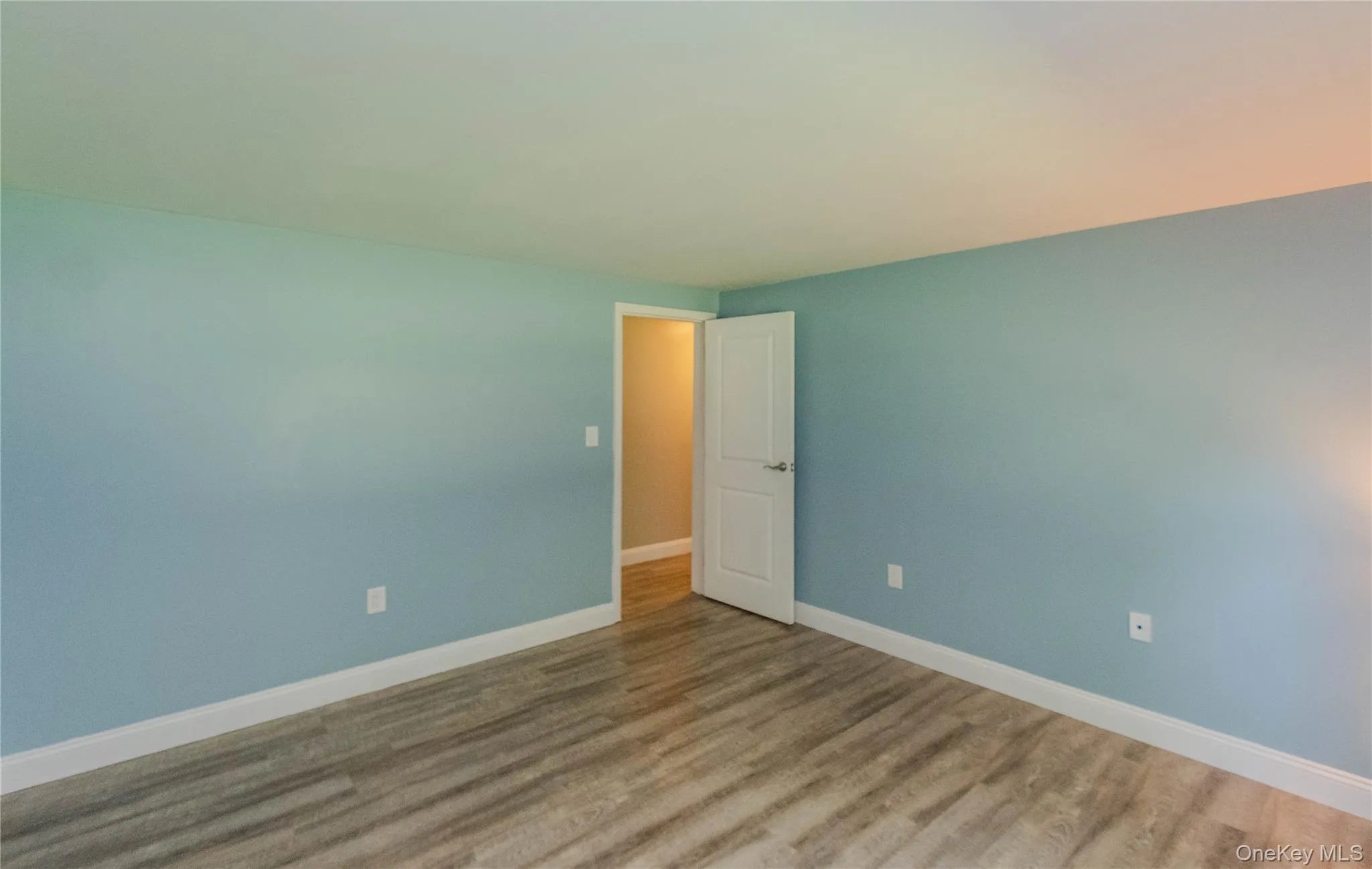 Interior space featuring wood-finish flooring, light blue wall paint, white baseboards, and a white interior door Interior space featuring wood-finish flooring, light blue wall paint, white baseboards, and a white interior door