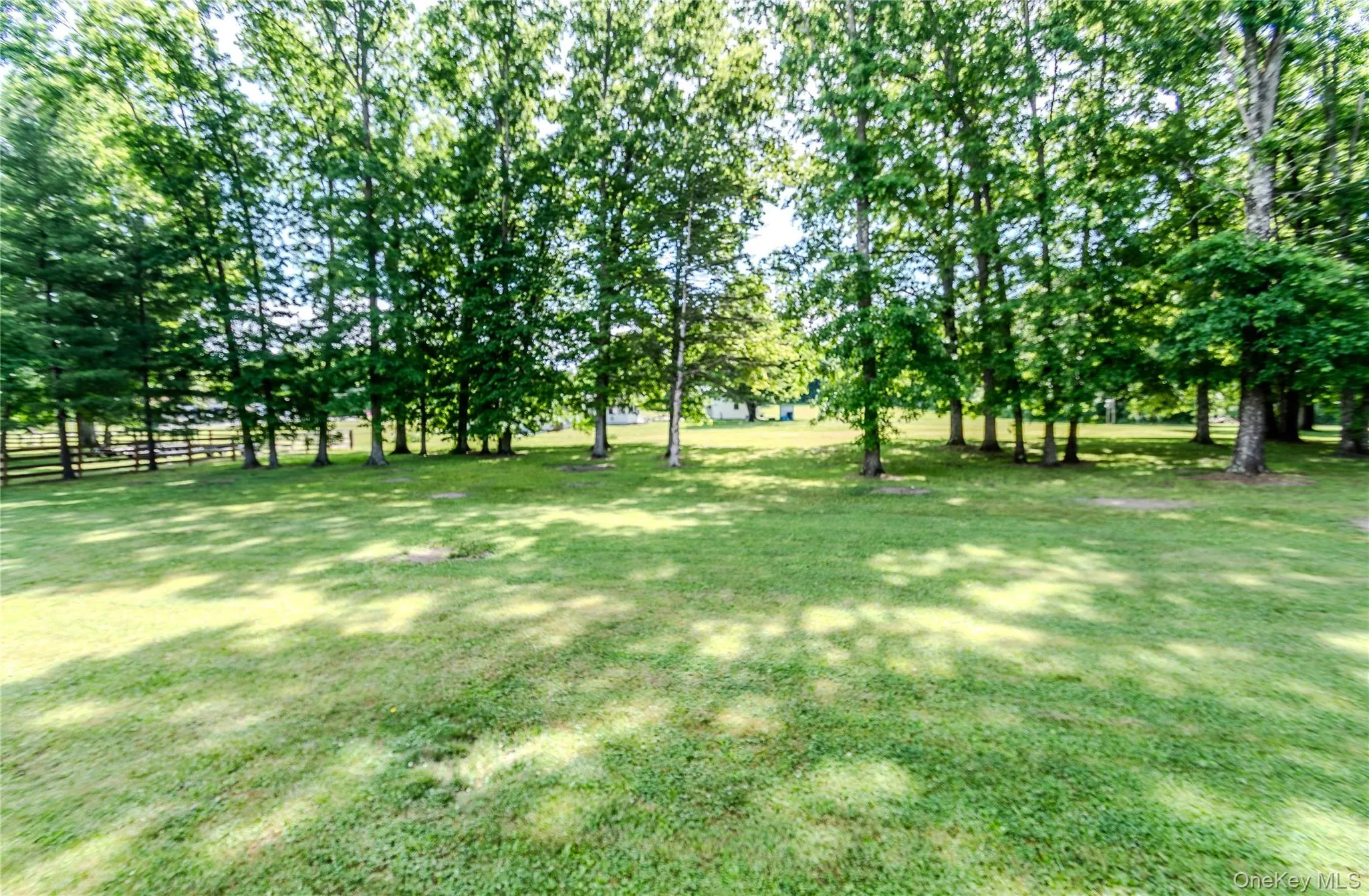 Expansive lawn area featuring mature trees providing natural shading Expansive lawn area featuring mature trees providing natural shading