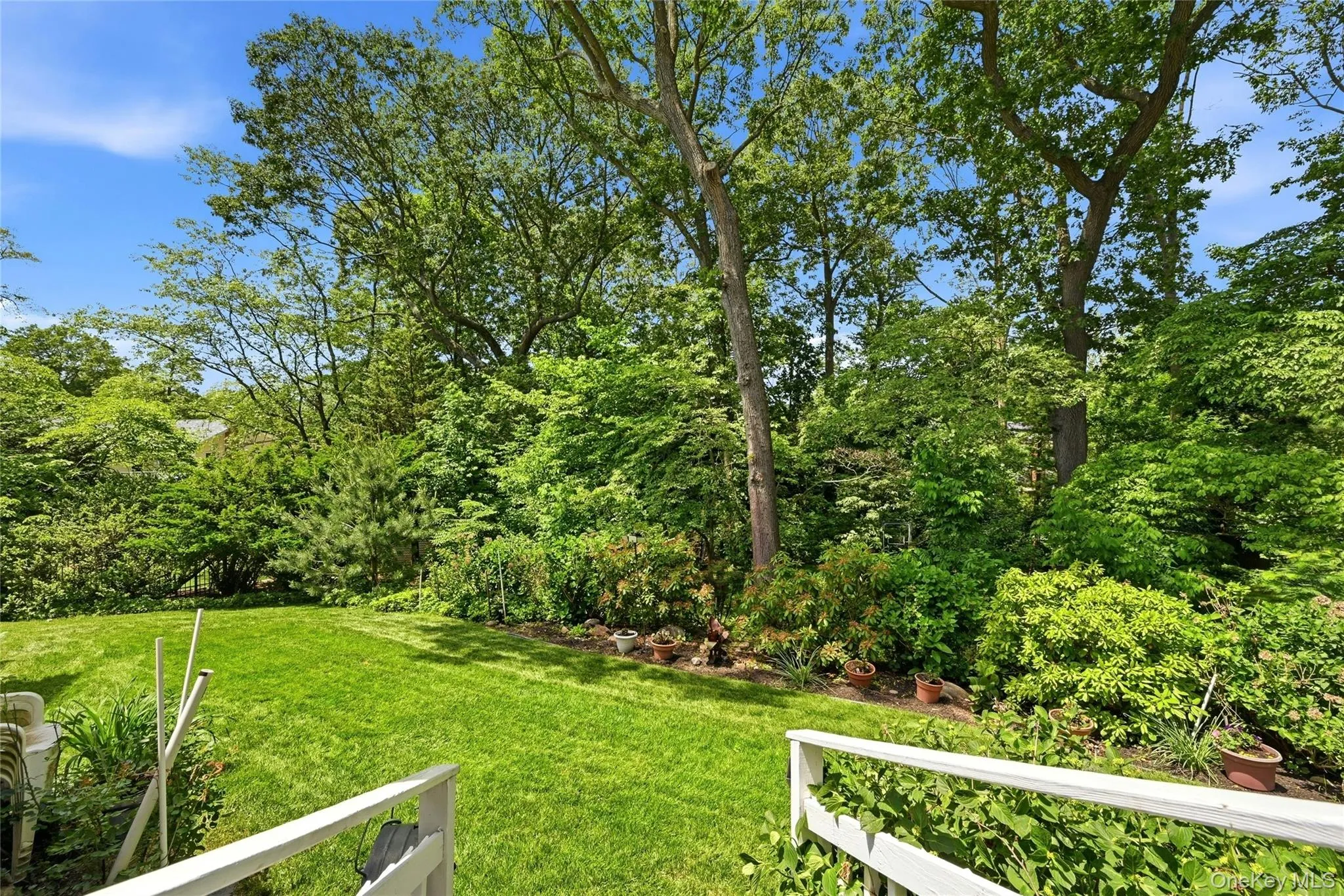 Large backyard Large backyard