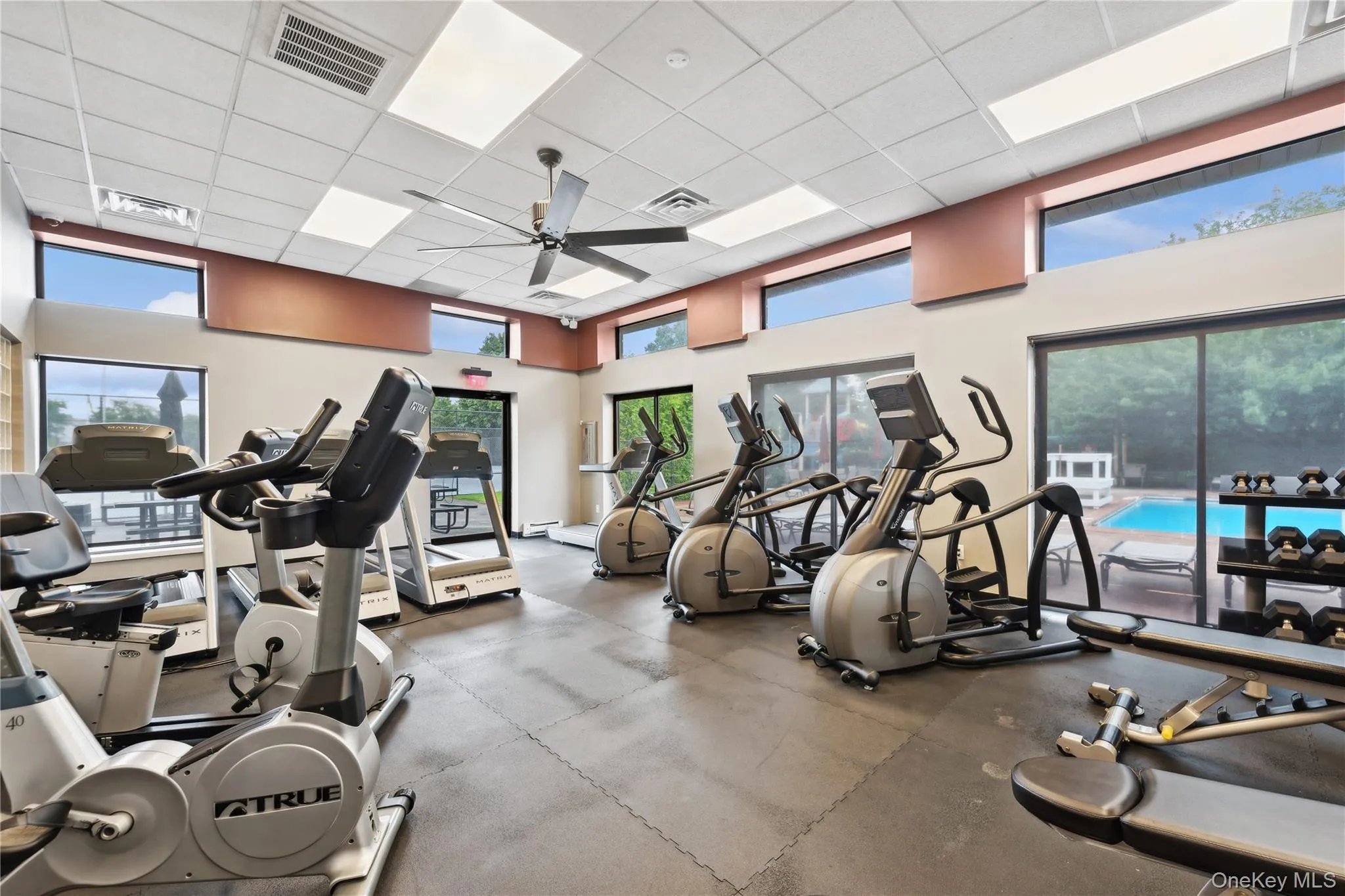 Gym Gym