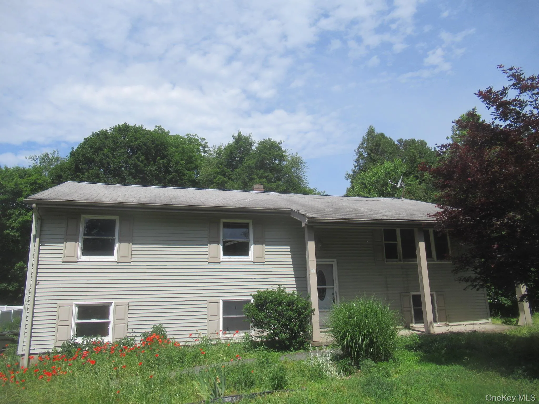 11 Myrtle Avenue, Montgomery, NY, 4 Bedrooms Bedrooms, 6 Rooms Rooms,2 BathroomsBathrooms,Residential,For Rent,Myrtle,0,1013369 11 Myrtle Avenue, Montgomery, NY, 4 Bedrooms Bedrooms, 6 Rooms Rooms,2 BathroomsBathrooms,Residential,For Rent,Myrtle,0,1013369