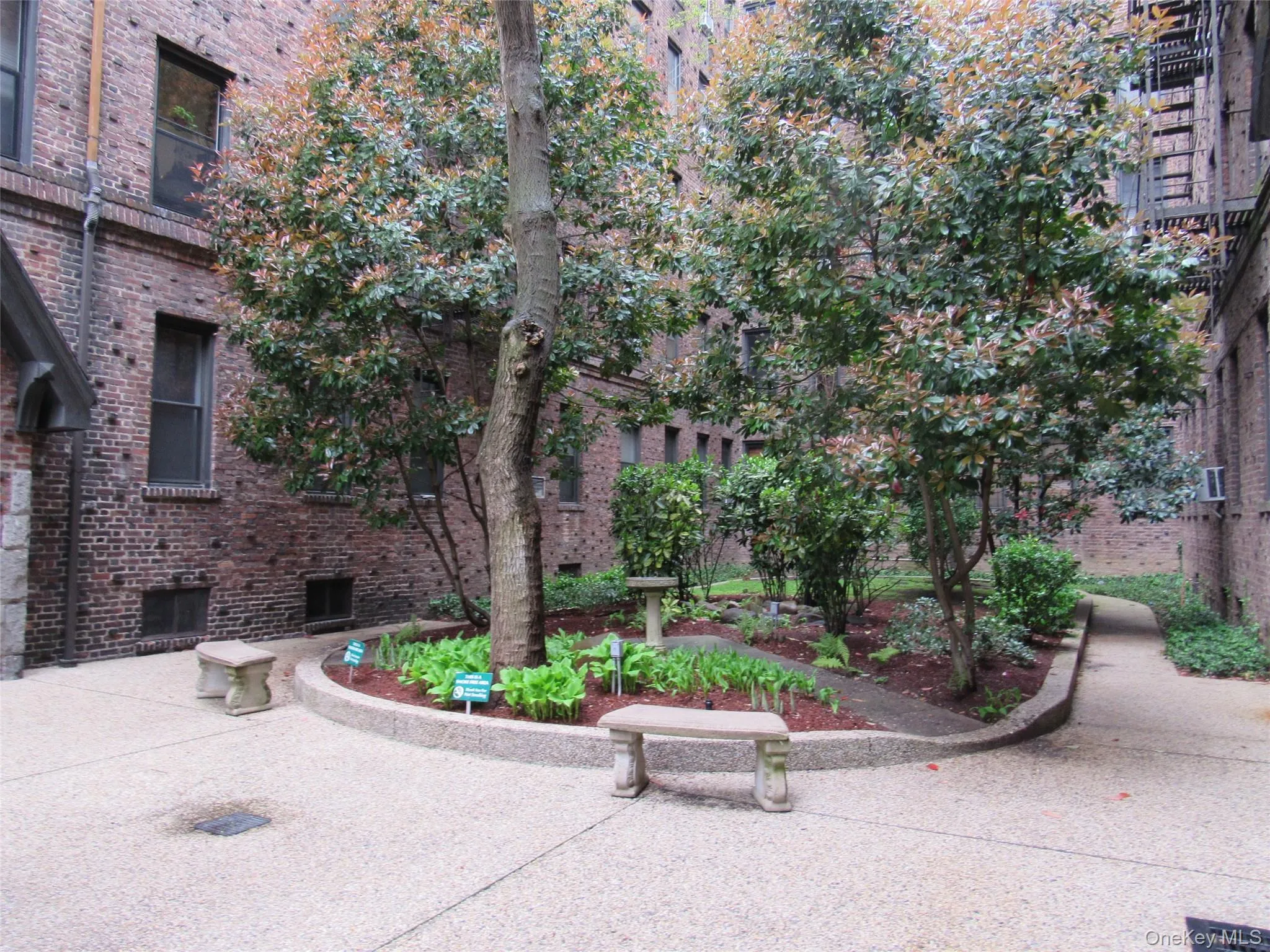 83-19 116th Street, New York, NY, 2 Bedrooms Bedrooms, 5 Rooms Rooms,1 BathroomBathrooms,Residential Lease,For Rent,116th,0,KEY1013371 83-19 116th Street, New York, NY, 2 Bedrooms Bedrooms, 5 Rooms Rooms,1 BathroomBathrooms,Residential Lease,For Rent,116th,0,KEY1013371