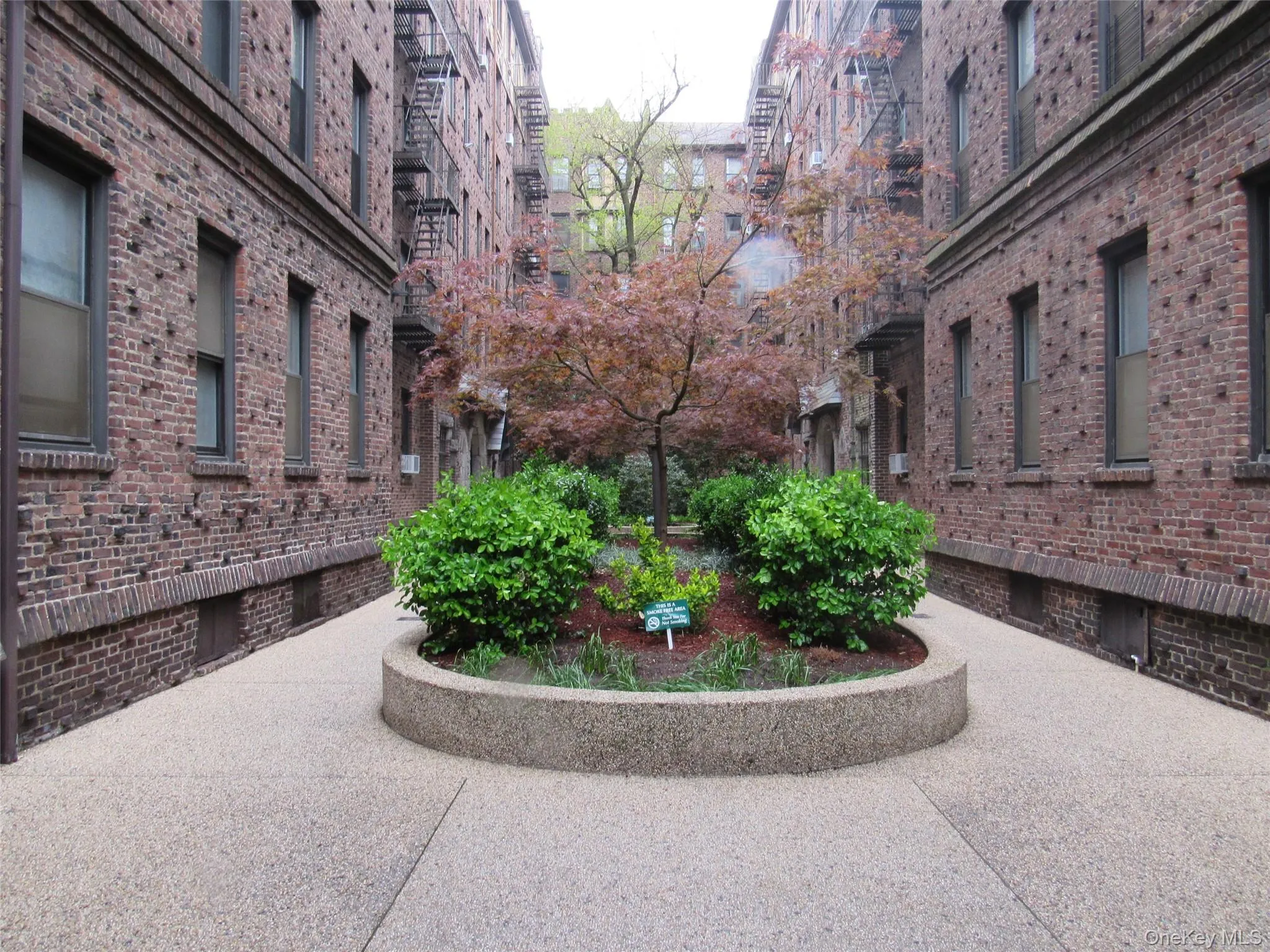 83-19 116th Street, New York, NY, 2 Bedrooms Bedrooms, 5 Rooms Rooms,1 BathroomBathrooms,Residential Lease,For Rent,116th,0,KEY1013371 83-19 116th Street, New York, NY, 2 Bedrooms Bedrooms, 5 Rooms Rooms,1 BathroomBathrooms,Residential Lease,For Rent,116th,0,KEY1013371