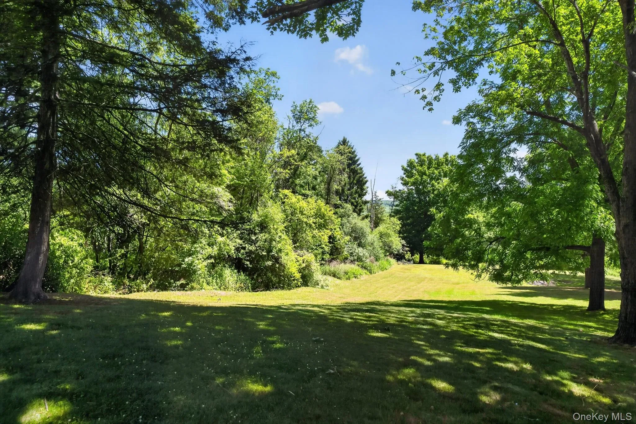 Expansive grassy area featuring mature trees and varied foliage Expansive grassy area featuring mature trees and varied foliage