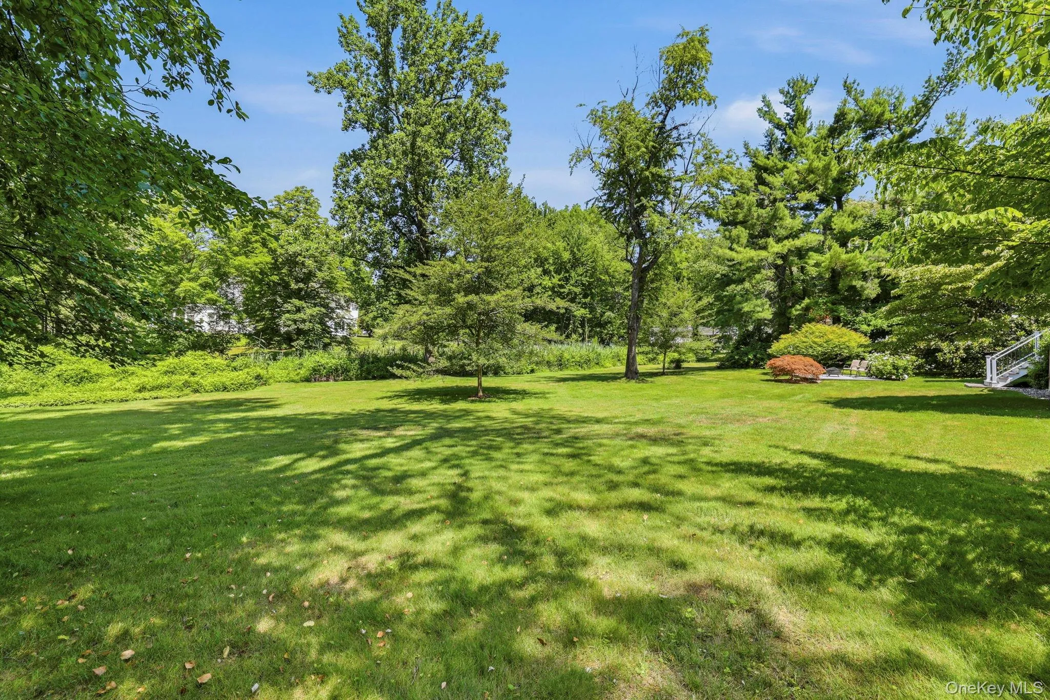 Beautiful flat backyard Beautiful flat backyard