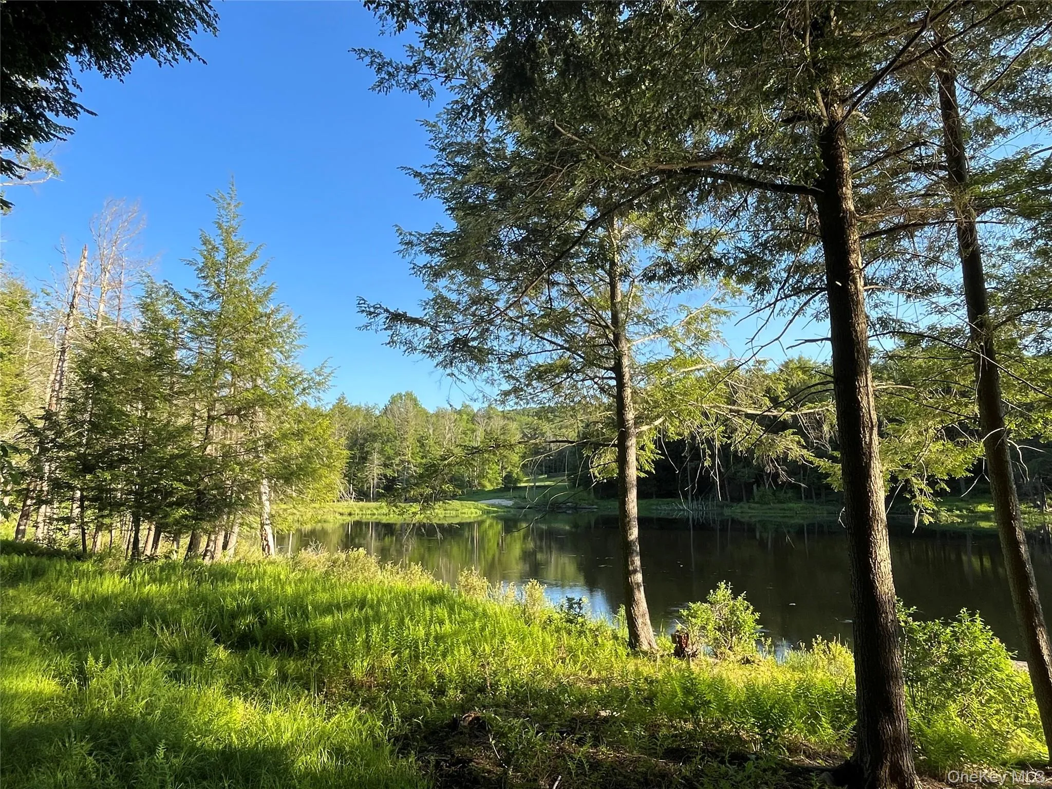 4 Cold Creek Pass, Liberty, NY, ,Land,For Rent,Cold Creek,0,1013402 4 Cold Creek Pass, Liberty, NY, ,Land,For Rent,Cold Creek,0,1013402