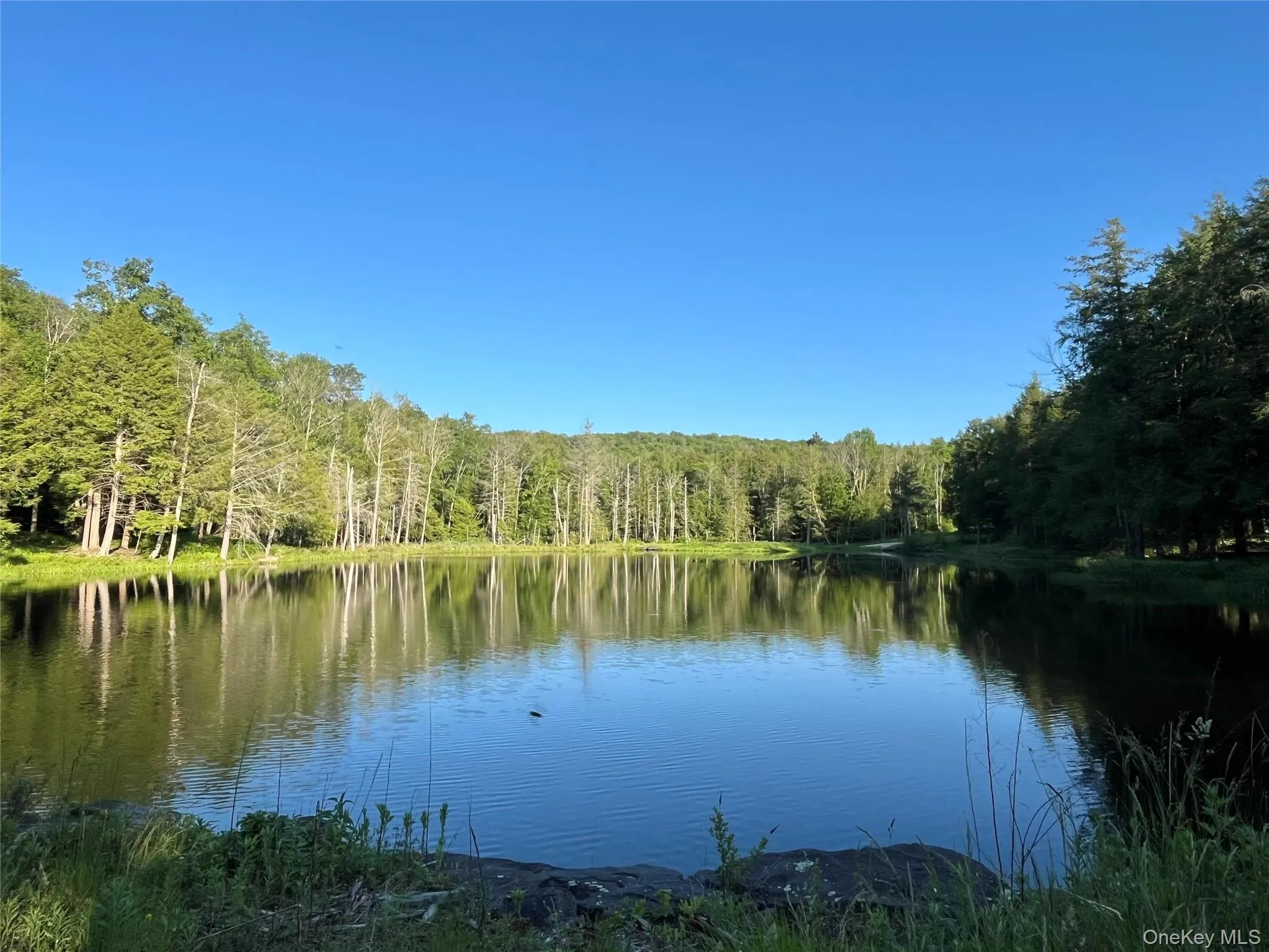 4 Cold Creek Pass, Liberty, NY, ,Land,For Rent,Cold Creek,0,1013402 4 Cold Creek Pass, Liberty, NY, ,Land,For Rent,Cold Creek,0,1013402