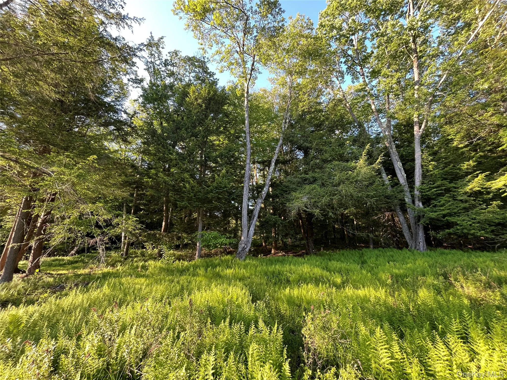 4 Cold Creek Pass, Liberty, NY, ,Land,For Rent,Cold Creek,0,1013402 4 Cold Creek Pass, Liberty, NY, ,Land,For Rent,Cold Creek,0,1013402