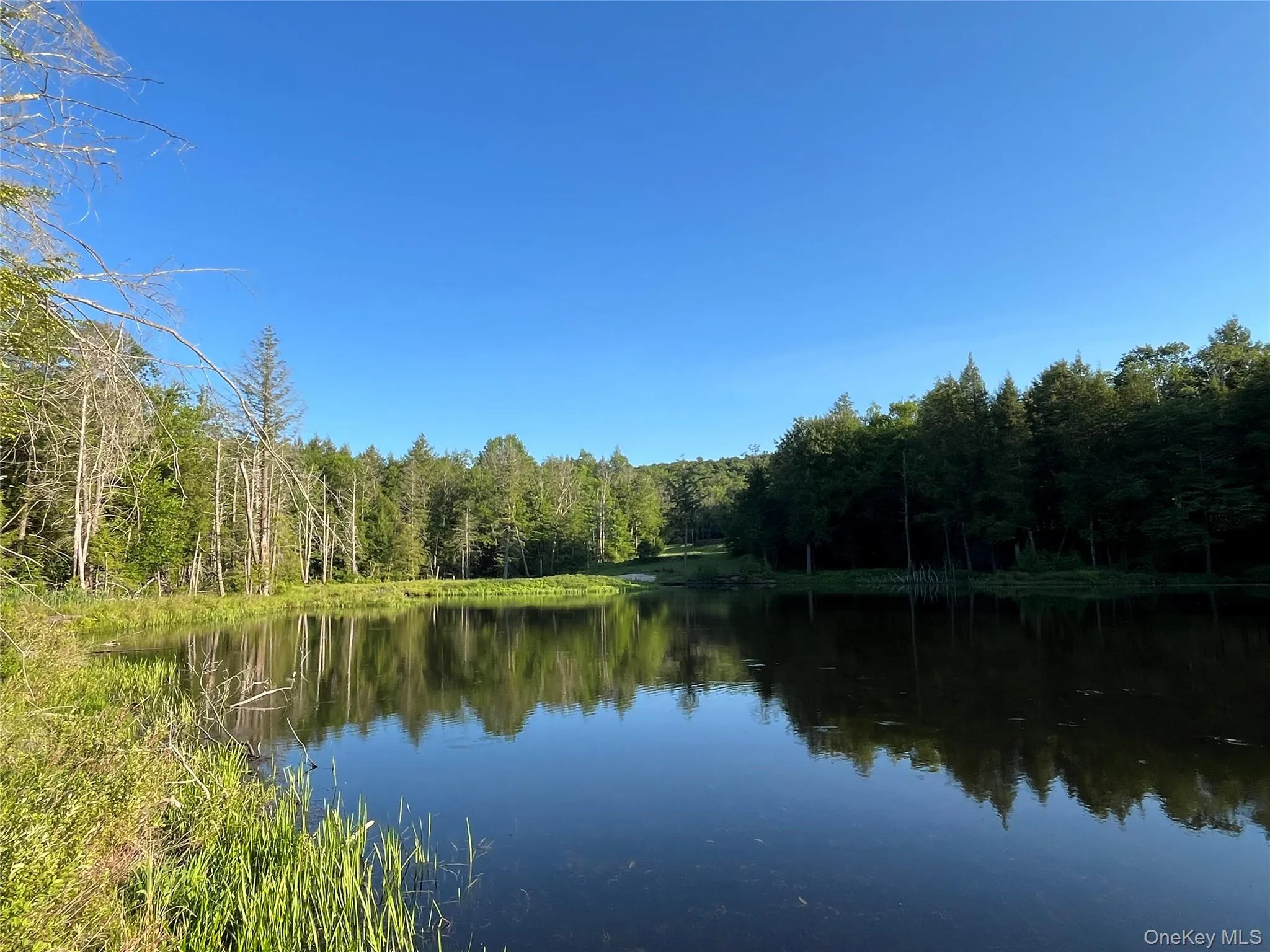 4 Cold Creek Pass, Liberty, NY, ,Land,For Rent,Cold Creek,0,1013402 4 Cold Creek Pass, Liberty, NY, ,Land,For Rent,Cold Creek,0,1013402