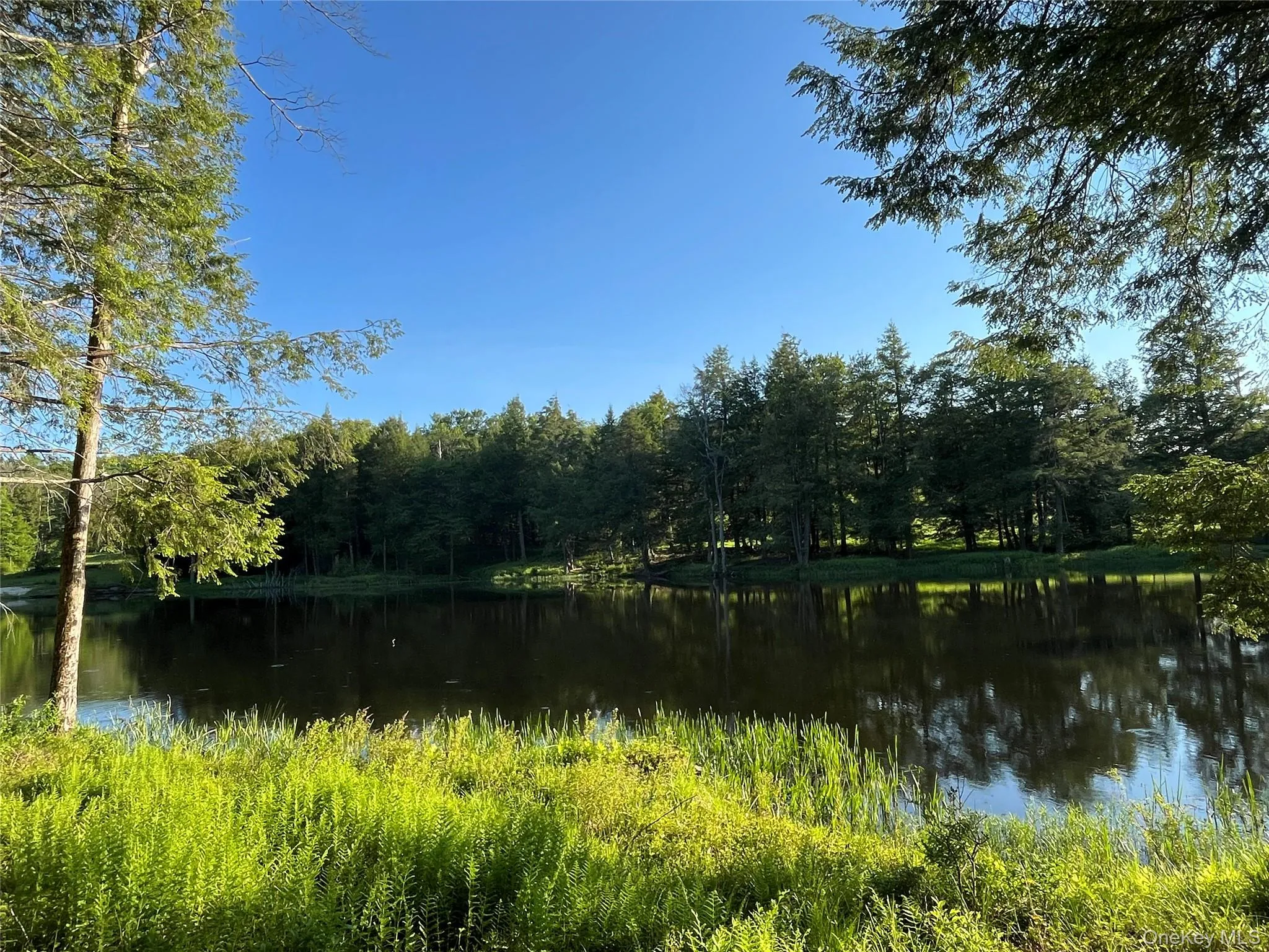 4 Cold Creek Pass, Liberty, NY, ,Land,For Rent,Cold Creek,0,1013402 4 Cold Creek Pass, Liberty, NY, ,Land,For Rent,Cold Creek,0,1013402