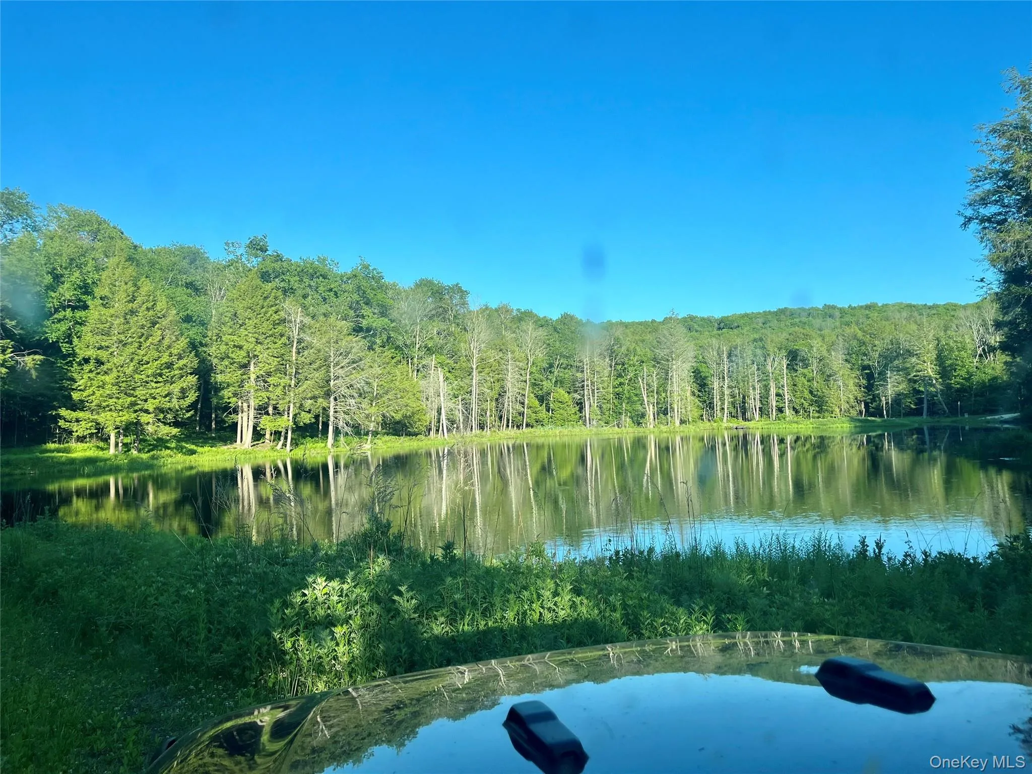 4 Cold Creek Pass, Liberty, NY, ,Land,For Rent,Cold Creek,0,1013402 4 Cold Creek Pass, Liberty, NY, ,Land,For Rent,Cold Creek,0,1013402