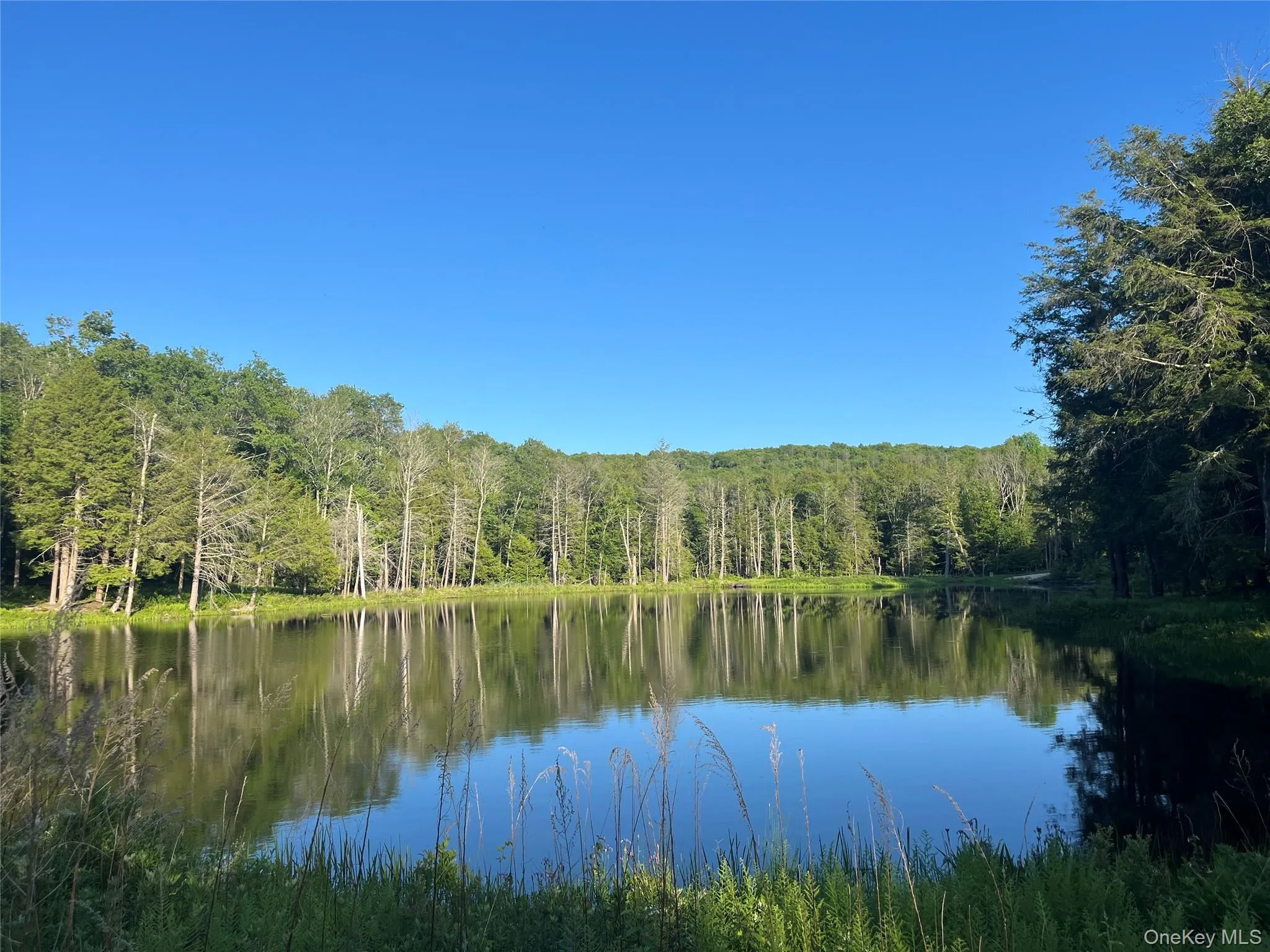 4 Cold Creek Pass, Liberty, NY, ,Land,For Rent,Cold Creek,0,1013402 4 Cold Creek Pass, Liberty, NY, ,Land,For Rent,Cold Creek,0,1013402