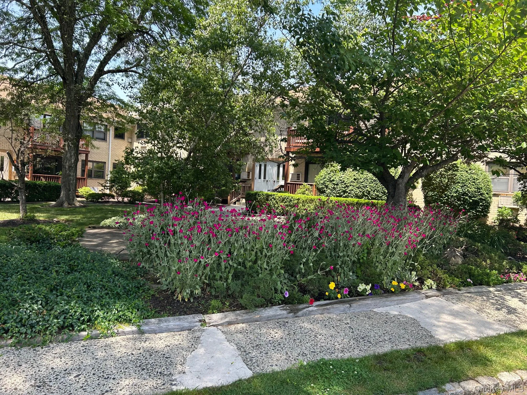 284 Sneden Place, Ramapo, NY, 1 Bedroom Bedrooms, 5 Rooms Rooms,1 BathroomBathrooms,Residential,For Rent,Sneden,0,1013404 284 Sneden Place, Ramapo, NY, 1 Bedroom Bedrooms, 5 Rooms Rooms,1 BathroomBathrooms,Residential,For Rent,Sneden,0,1013404
