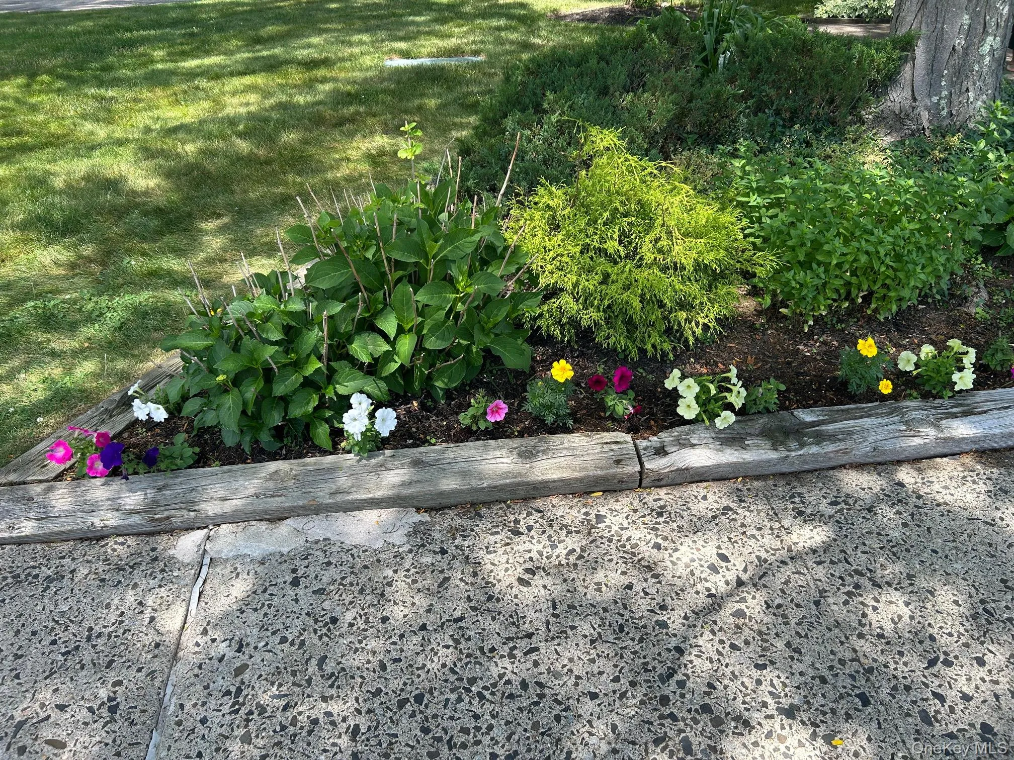 284 Sneden Place, Ramapo, NY, 1 Bedroom Bedrooms, 5 Rooms Rooms,1 BathroomBathrooms,Residential,For Rent,Sneden,0,1013404 284 Sneden Place, Ramapo, NY, 1 Bedroom Bedrooms, 5 Rooms Rooms,1 BathroomBathrooms,Residential,For Rent,Sneden,0,1013404