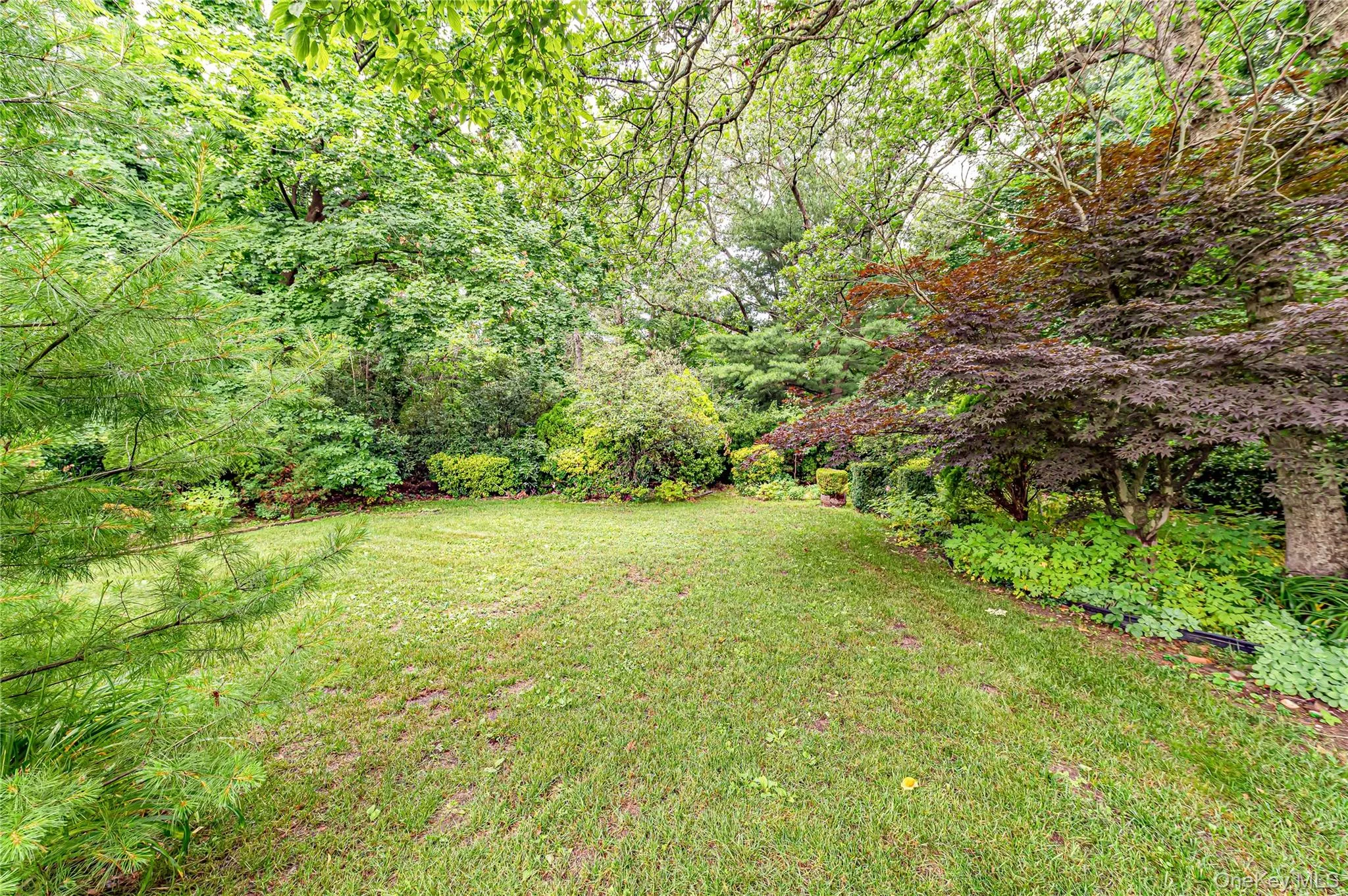A Private Backyard Framed by Mature Trees and Established Landscaping. A Private Backyard Framed by Mature Trees and Established Landscaping.