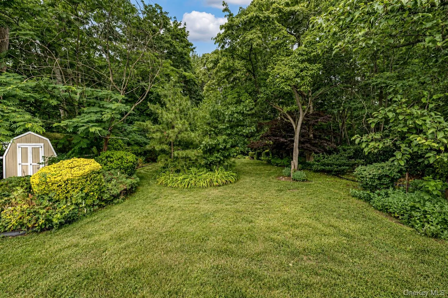 Very Spacious Yard 75' x 220' Very Spacious Yard 75' x 220'