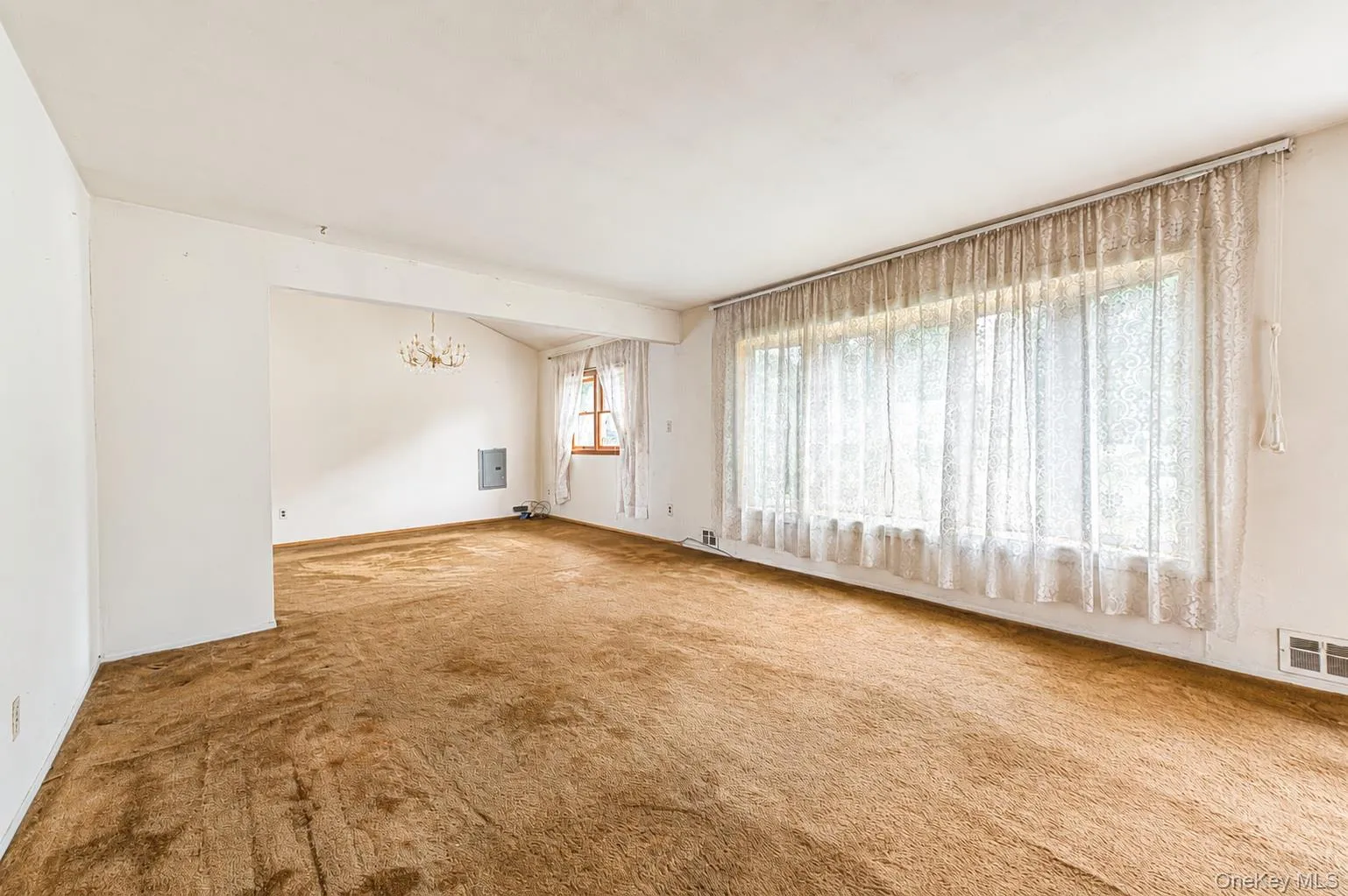 Andersen Casement Window. Hardwood Floor under the "Living Room" Carpet. Andersen Casement Window. Hardwood Floor under the "Living Room" Carpet.