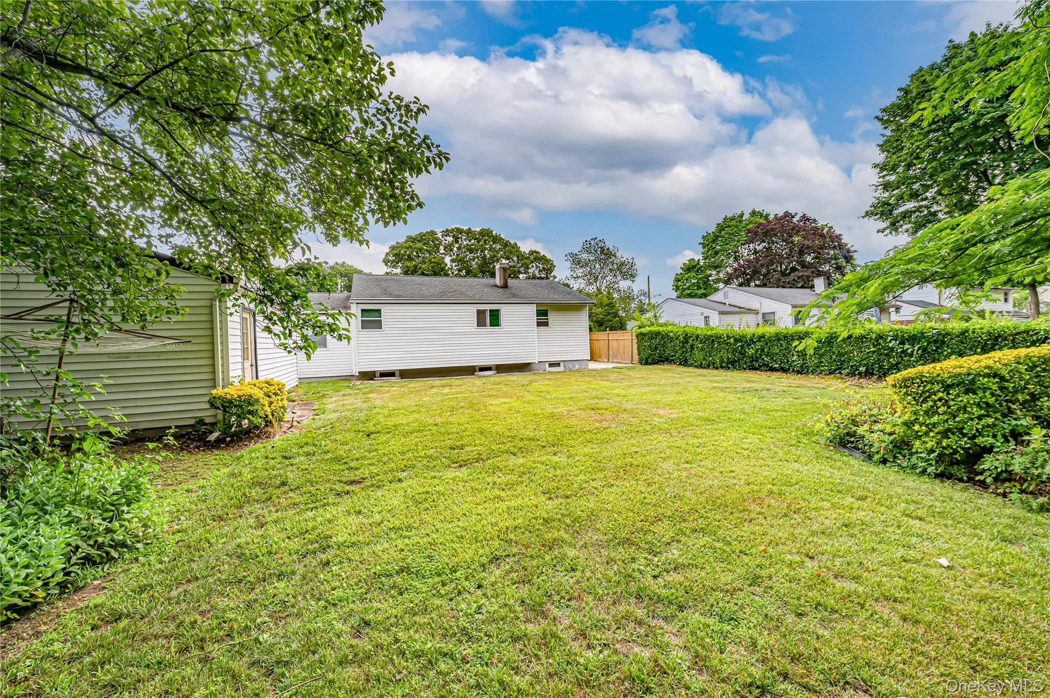 Rear Yard. So MUCH SPACE! Rear Yard. So MUCH SPACE!