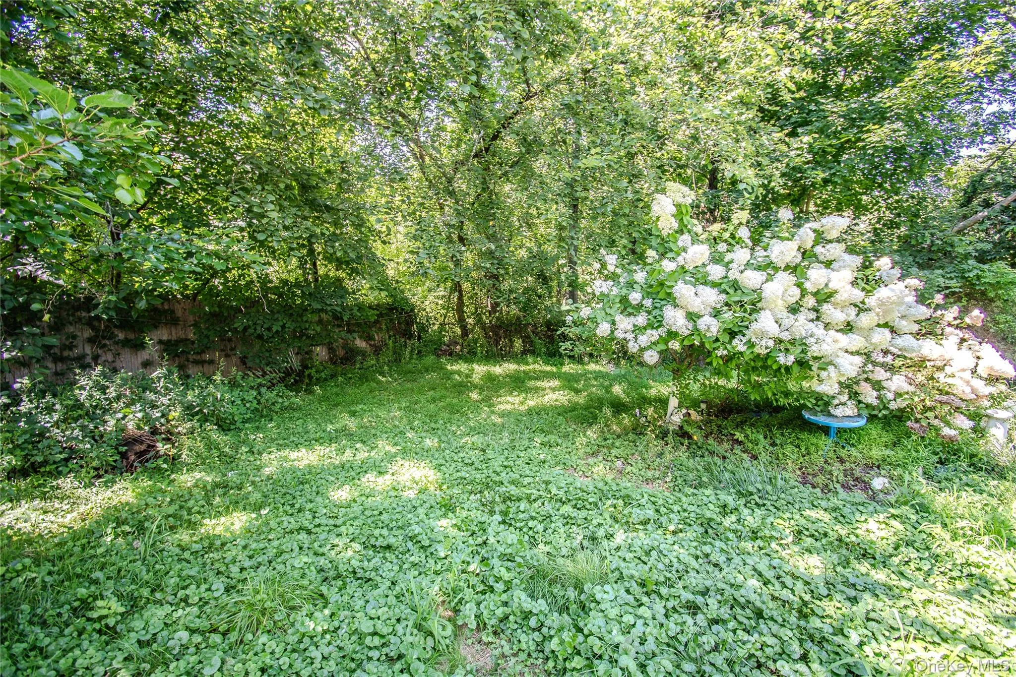 60 Higgins Trail, Monroe, NY, 2 Bedrooms Bedrooms, 7 Rooms Rooms,1 BathroomBathrooms,Residential,For Rent,Higgins,0,1013425 60 Higgins Trail, Monroe, NY, 2 Bedrooms Bedrooms, 7 Rooms Rooms,1 BathroomBathrooms,Residential,For Rent,Higgins,0,1013425