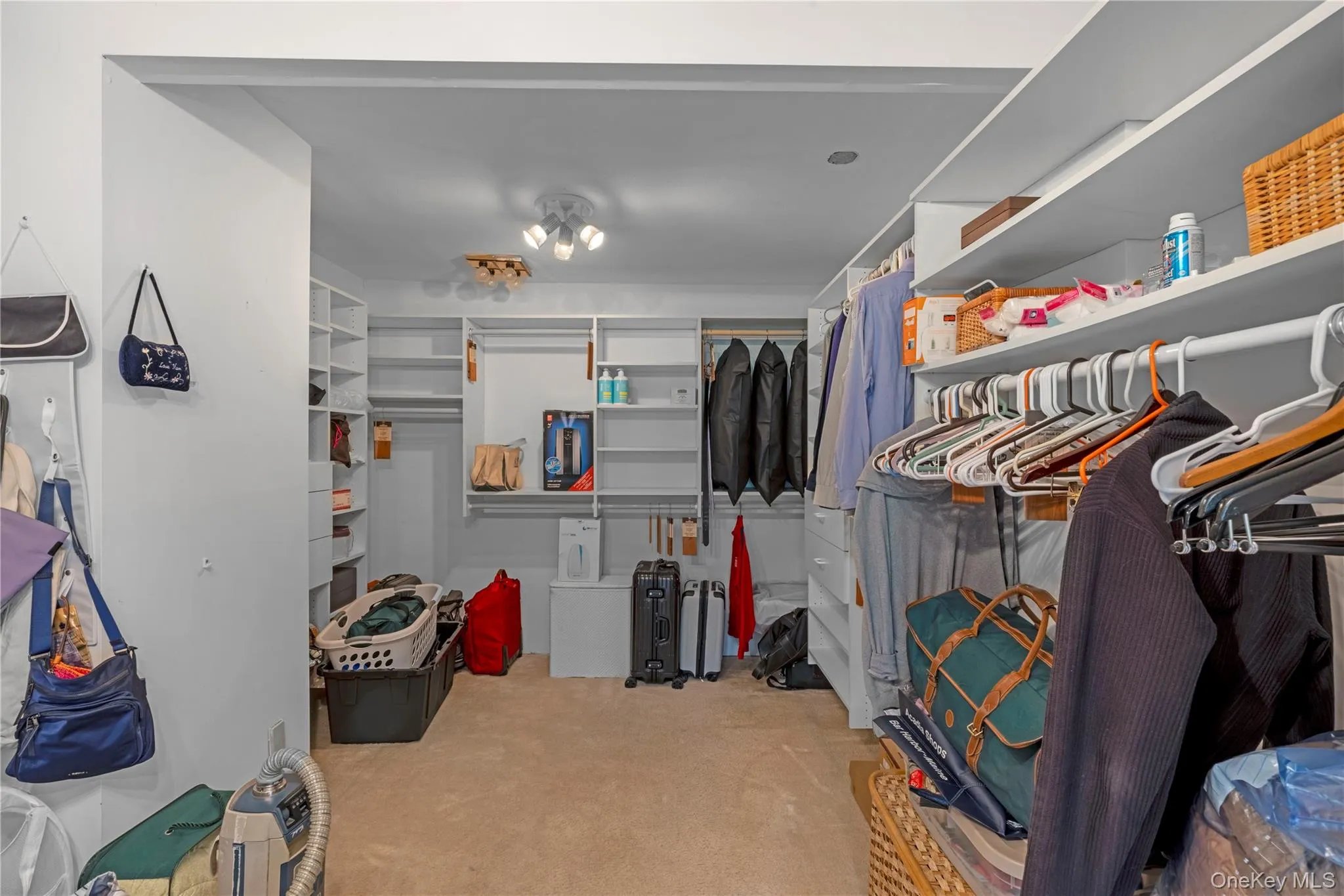 63 Lisa Drive, Huntington, NY, 3 Bedrooms Bedrooms, 10 Rooms Rooms,2 BathroomsBathrooms,Residential,For Rent,Lisa,0,1013438 63 Lisa Drive, Huntington, NY, 3 Bedrooms Bedrooms, 10 Rooms Rooms,2 BathroomsBathrooms,Residential,For Rent,Lisa,0,1013438
