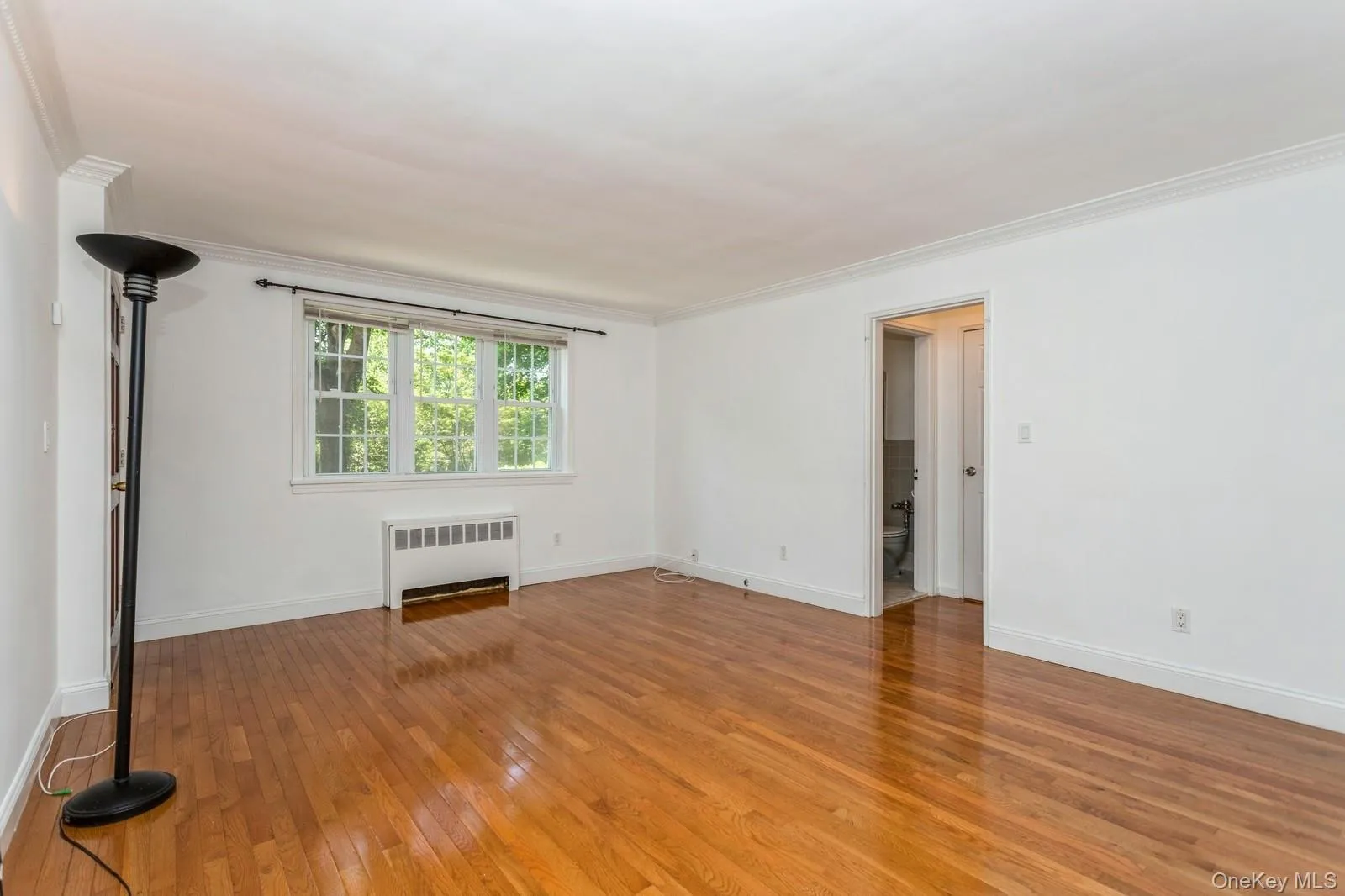 Room featuring radiator heating unit, light wood-type flooring, and crown molding Room featuring radiator heating unit, light wood-type flooring, and crown molding