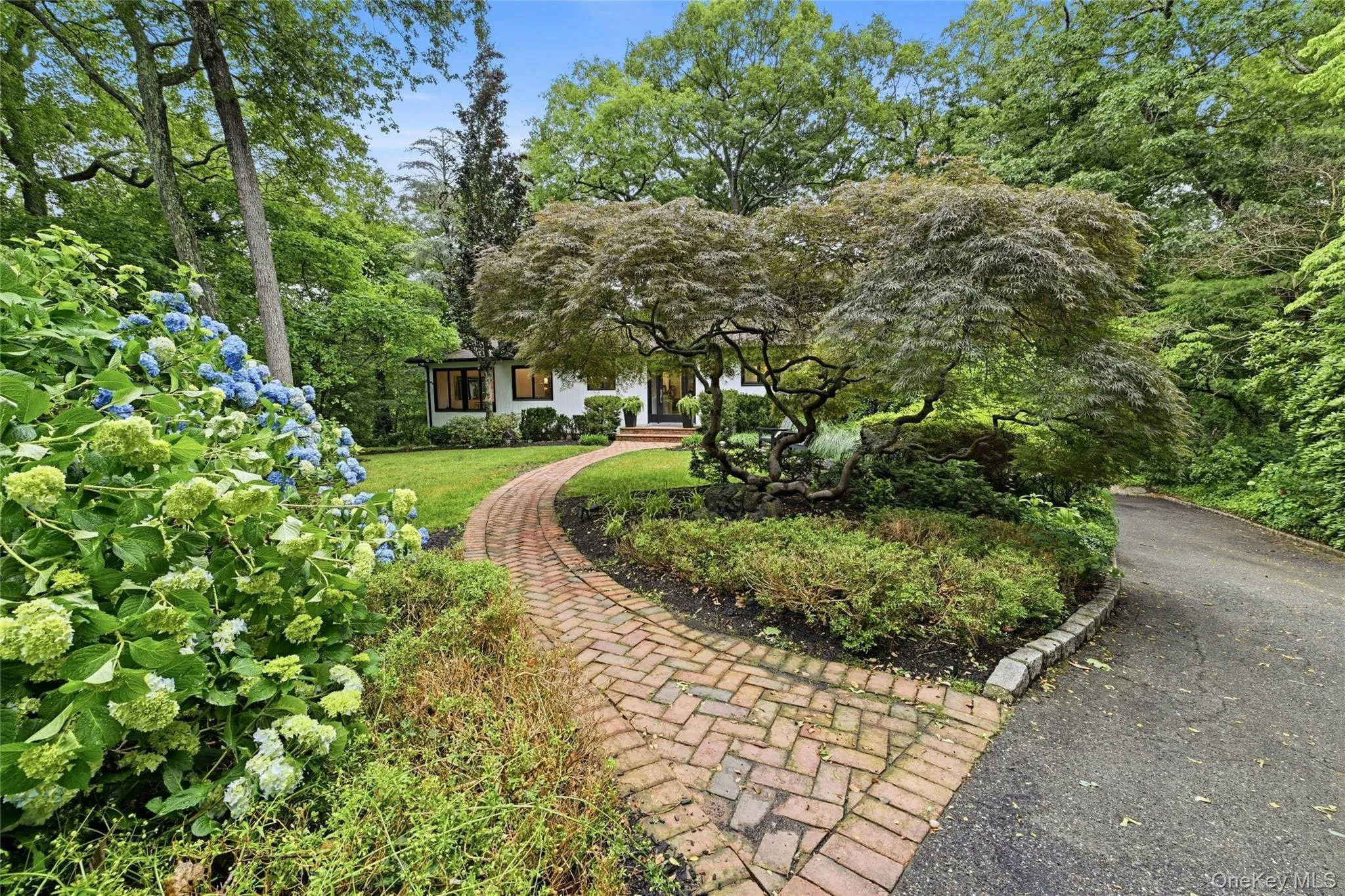 Front yard and driveway to 2 car garage Front yard and driveway to 2 car garage