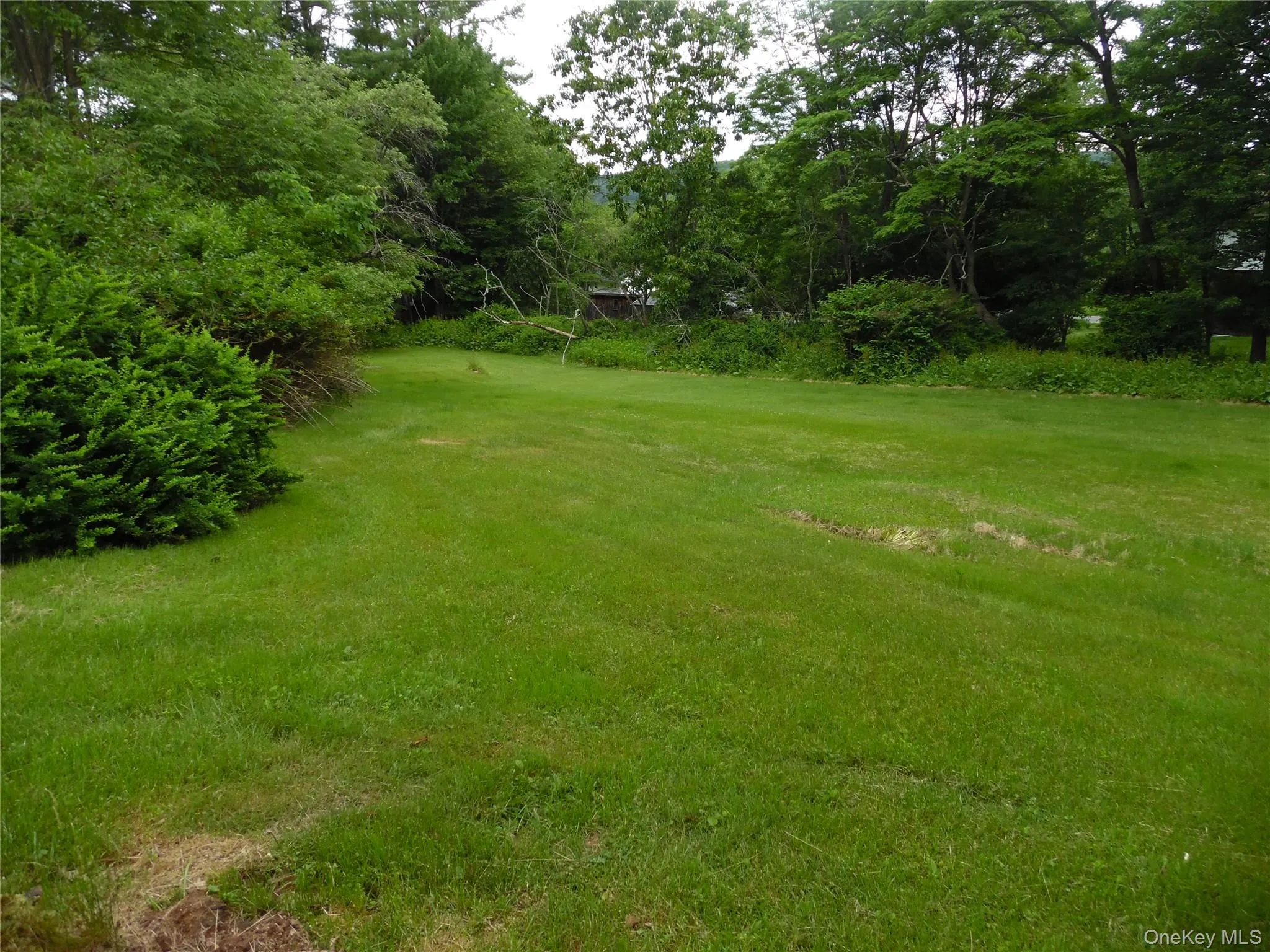 Expansive green lawn surrounded by mature trees and varied foliage, providing natural screening Expansive green lawn surrounded by mature trees and varied foliage, providing natural screening