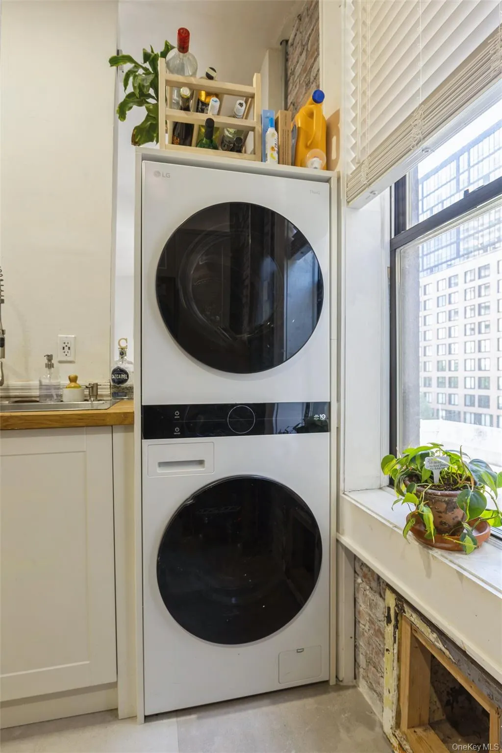 35 Crown, New York, NY, 2 Bedrooms Bedrooms, 4 Rooms Rooms,1 BathroomBathrooms,Residential,For Rent,Crown,0,1013474 35 Crown, New York, NY, 2 Bedrooms Bedrooms, 4 Rooms Rooms,1 BathroomBathrooms,Residential,For Rent,Crown,0,1013474