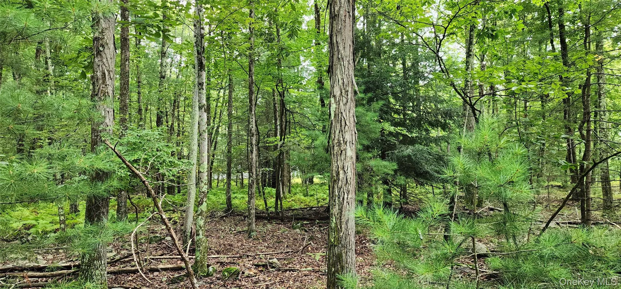 128 Wilson Road, Deerpark, NY, ,Land,For Rent,Wilson,0,1013486 128 Wilson Road, Deerpark, NY, ,Land,For Rent,Wilson,0,1013486