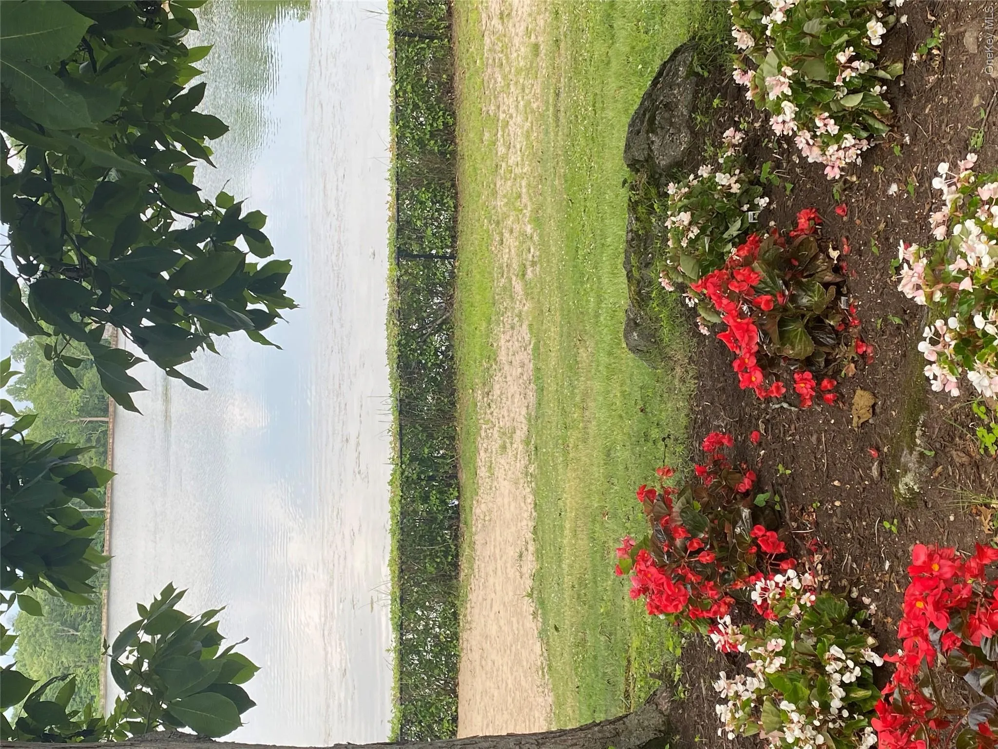 at Lake at Lake