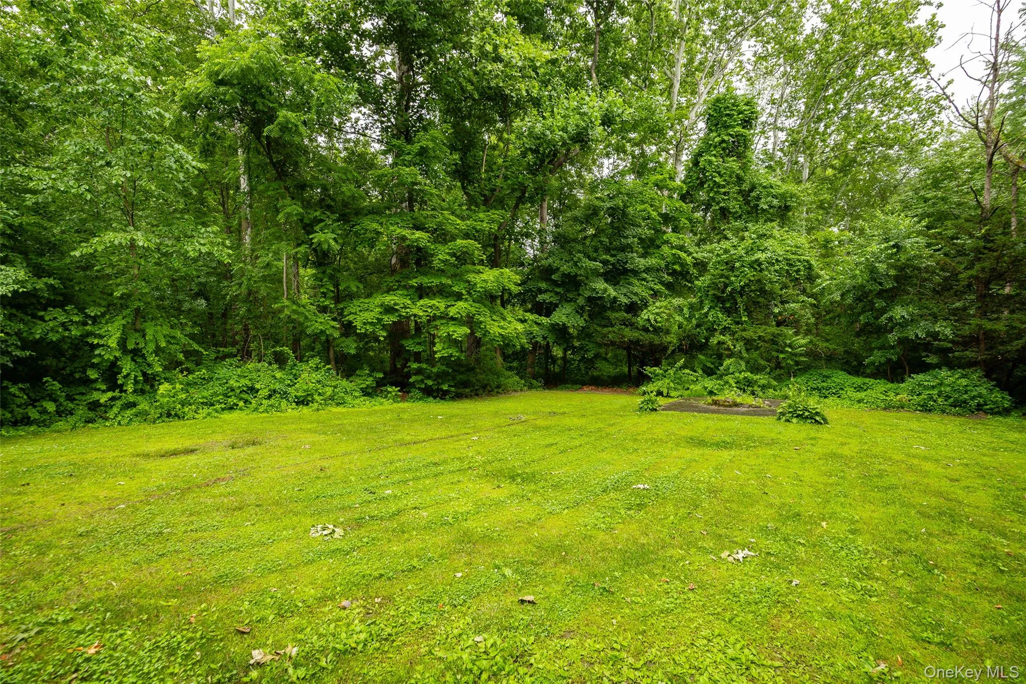 24 Dutchess Hill Road, Hyde Park, NY, 4 Bedrooms Bedrooms, 8 Rooms Rooms,1 BathroomBathrooms,Residential,For Rent,Dutchess Hill,0,KEY1013508 24 Dutchess Hill Road, Hyde Park, NY, 4 Bedrooms Bedrooms, 8 Rooms Rooms,1 BathroomBathrooms,Residential,For Rent,Dutchess Hill,0,KEY1013508