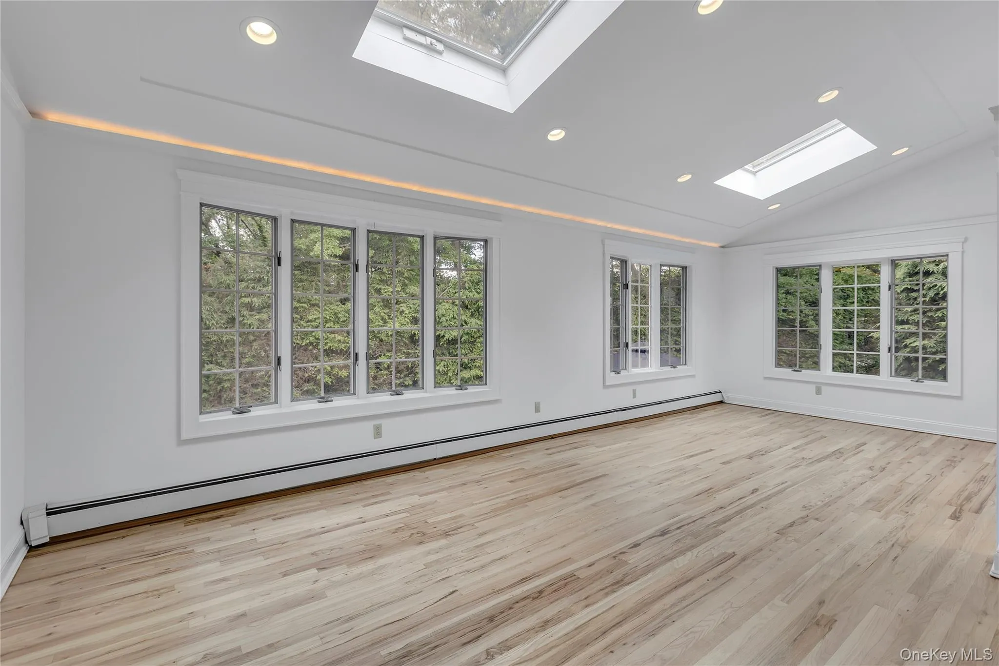 Spacious room featuring light wood-finish flooring, multiple skylights, recessed ceiling lighting, and large windows with grid patterns Spacious room featuring light wood-finish flooring, multiple skylights, recessed ceiling lighting, and large windows with grid patterns