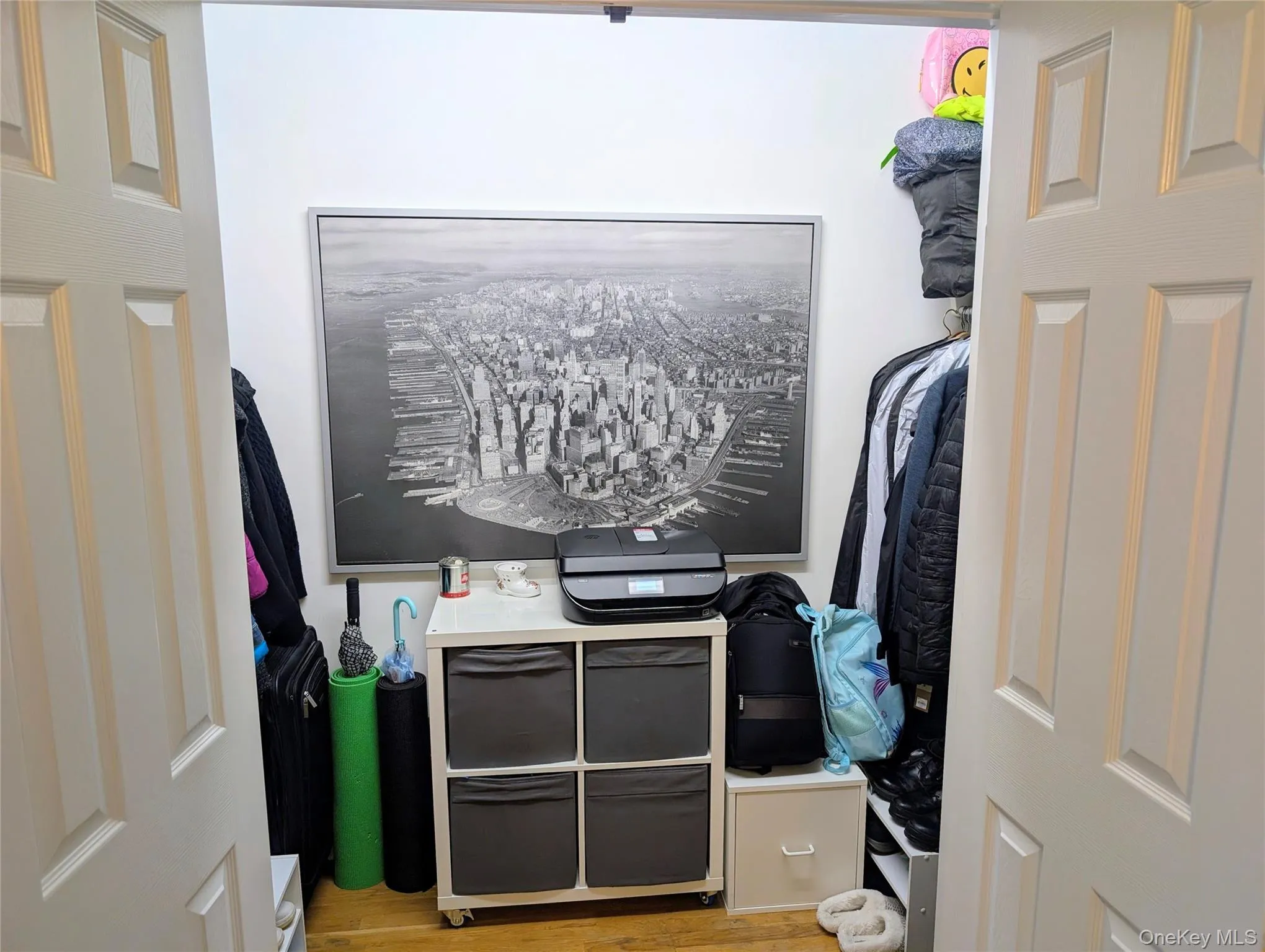 Oversized Hall Closet and Storage Oversized Hall Closet and Storage