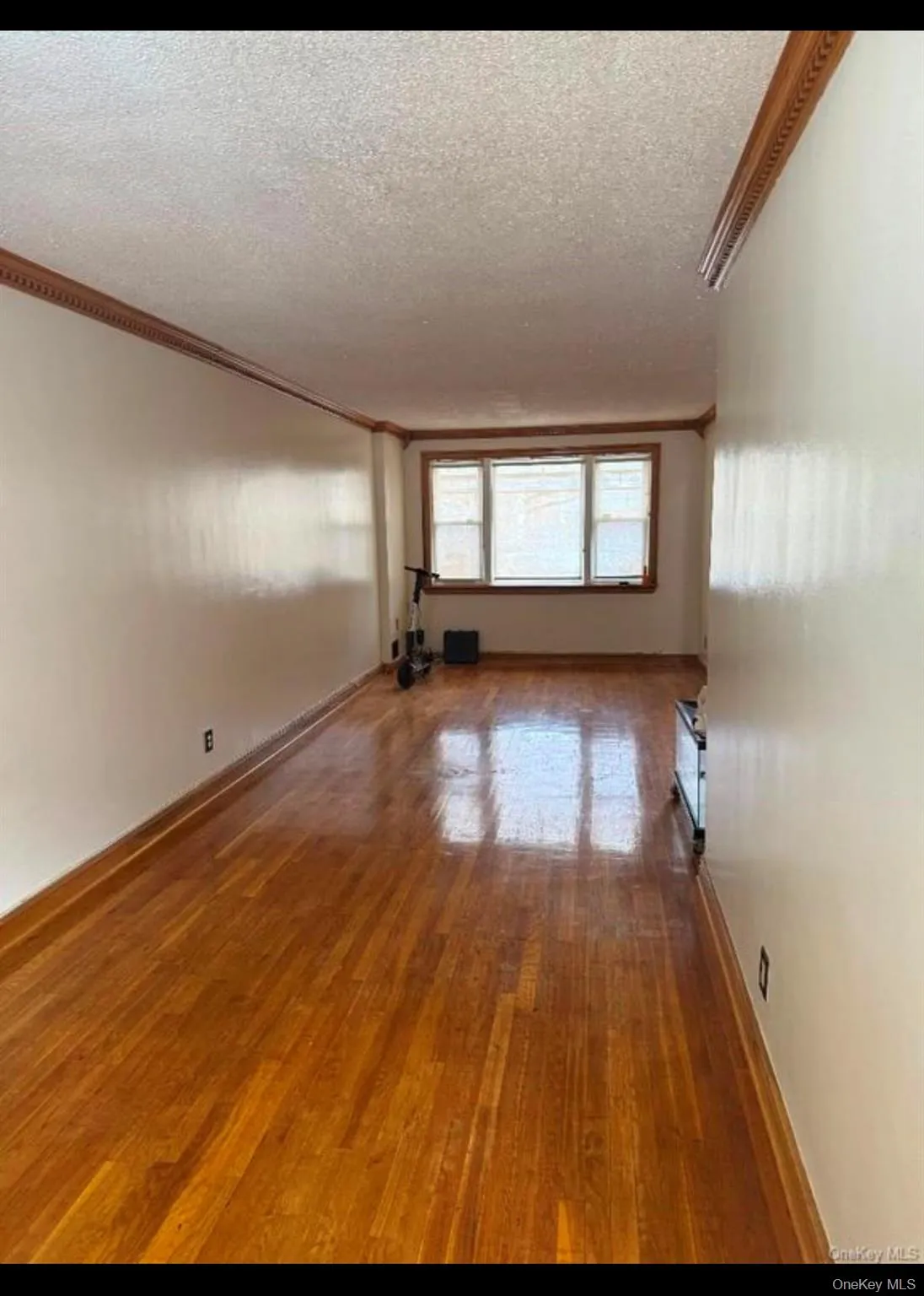 918 81st Street, New York, NY, 3 Bedrooms Bedrooms, 5 Rooms Rooms,1 BathroomBathrooms,Residential Lease,For Rent,81st,0,1013636 918 81st Street, New York, NY, 3 Bedrooms Bedrooms, 5 Rooms Rooms,1 BathroomBathrooms,Residential Lease,For Rent,81st,0,1013636