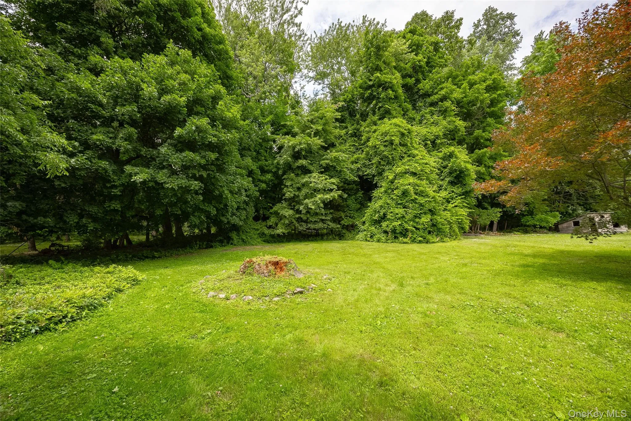 37 Florence Avenue, Fishkill, NY, 3 Bedrooms Bedrooms, 8 Rooms Rooms,2 BathroomsBathrooms,Residential,For Rent,Florence,0,1013650 37 Florence Avenue, Fishkill, NY, 3 Bedrooms Bedrooms, 8 Rooms Rooms,2 BathroomsBathrooms,Residential,For Rent,Florence,0,1013650